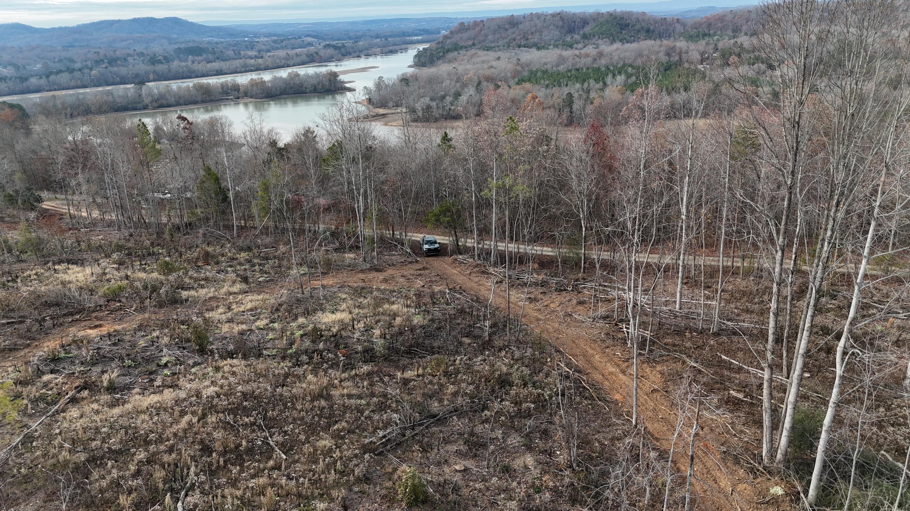 Lot 1 Lamontville Road, Decatur, Tennessee image 3