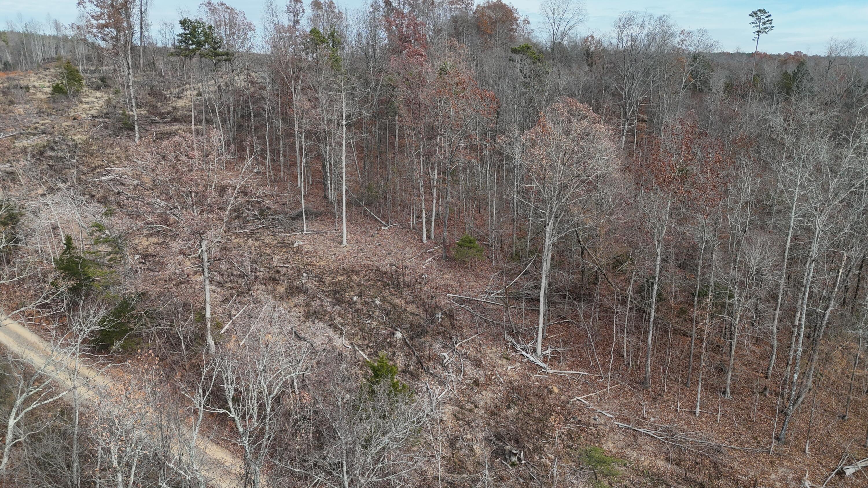 Lot 1 Lamontville Road, Decatur, Tennessee image 21