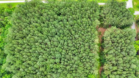 Photo of 1645 Billingsley Road, Soddy Daisy, TN 37379 (MLS # 1514822)