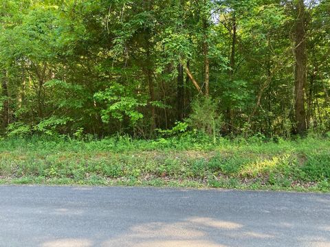Photo of 0 Horner Hollow Road, Birchwood, TN 37308 (MLS # 1501409)