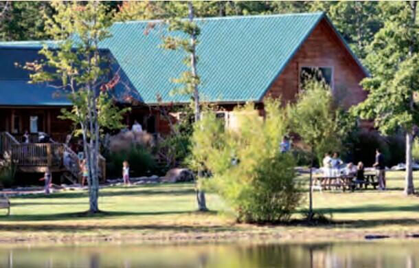 Cloudland Lane #3513, Dunlap, Tennessee image 19