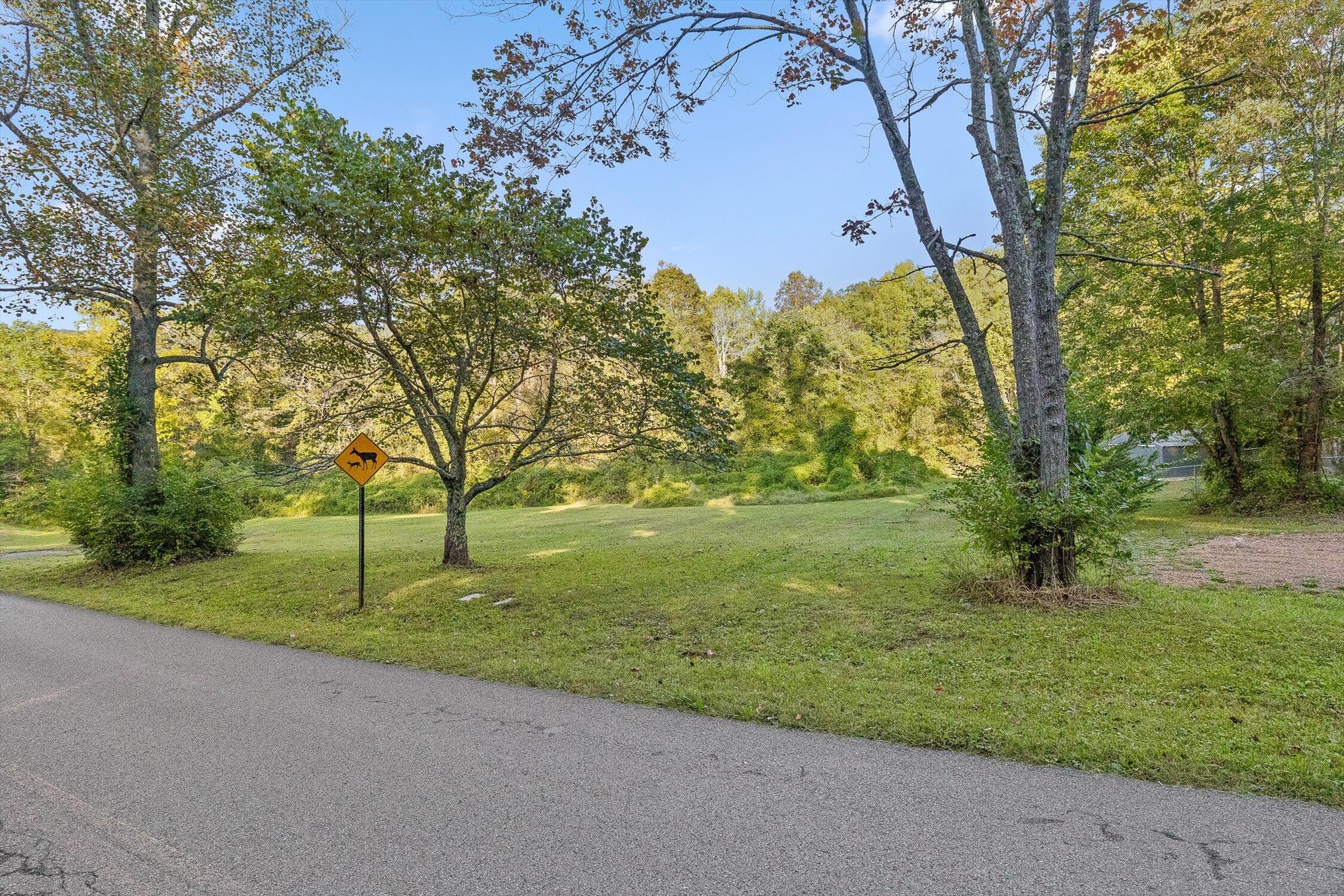 Lookout Mountain, Georgia 30750, United States, ,Land,Active,221688