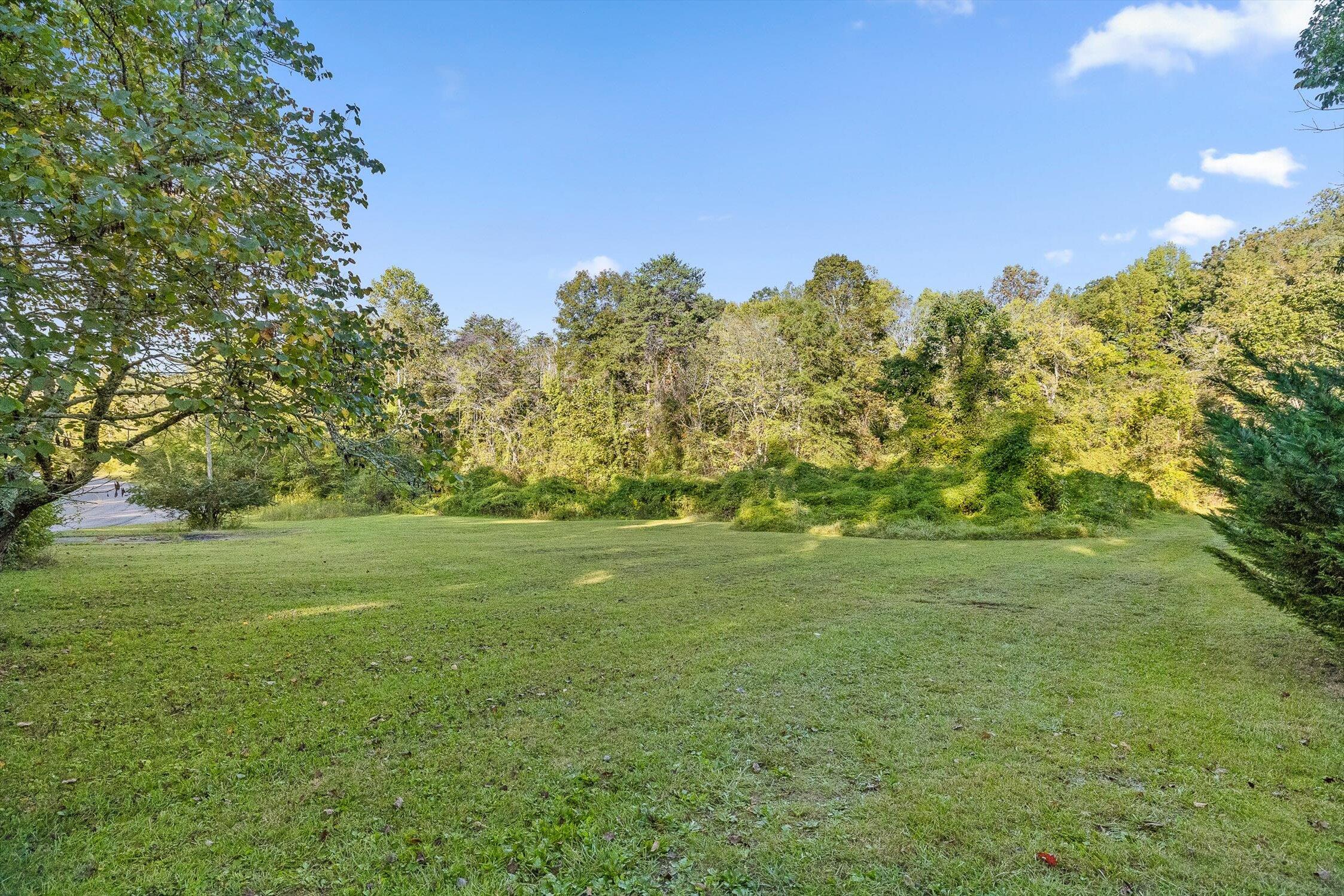 Lookout Mountain, Georgia 30750, United States, ,Land,Active,221688