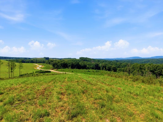 TARPLEY ST, MARYVILLE, TN 37804 - Image 81fd78b8ff3bc7b6606a856a6cd3ca93/1743726493