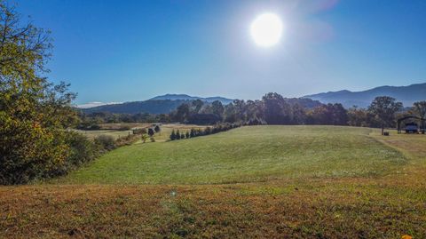 Vacant Land For Sale - Old Asheville Hwy Tn Highway<br/> Newport, TN 37821