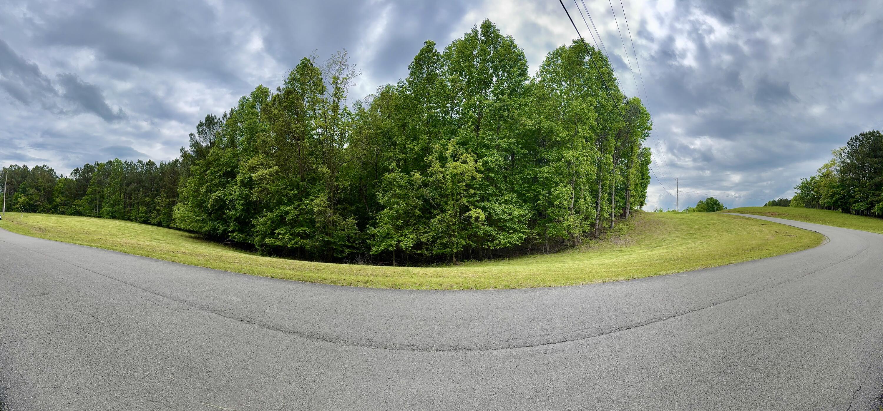 Thunder Ridge Drive #84, South Pittsburg, Tennessee image 1