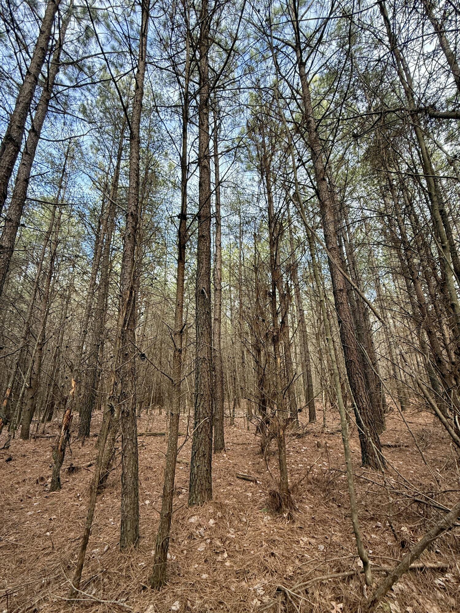 00 Coca Cola Road, Dunlap, Tennessee image 9