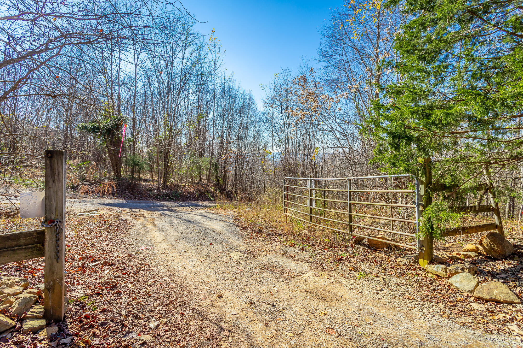 1111 Ditch Gap Road, Whitwell, Tennessee image 6