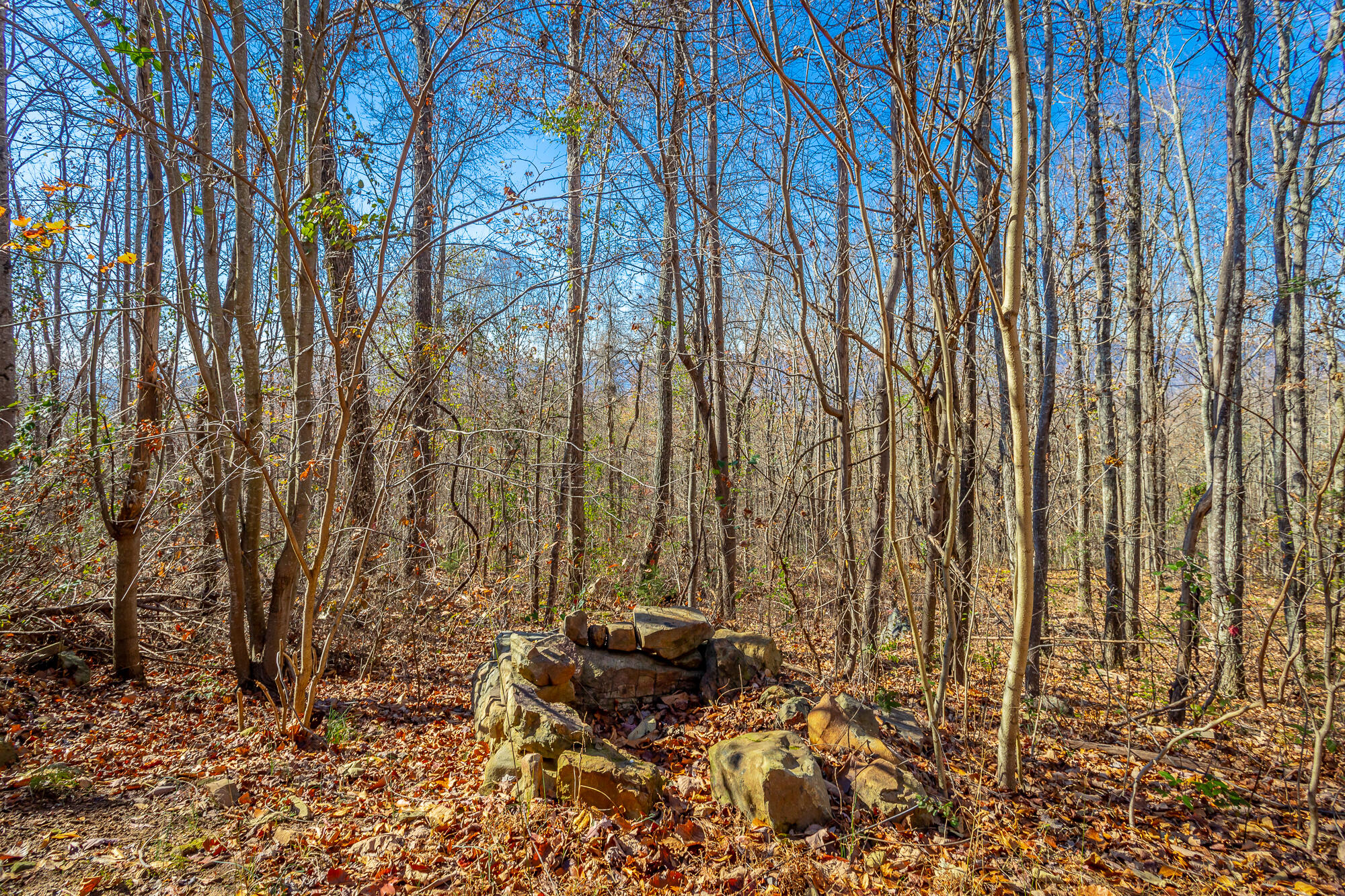1111 Ditch Gap Road, Whitwell, Tennessee image 11