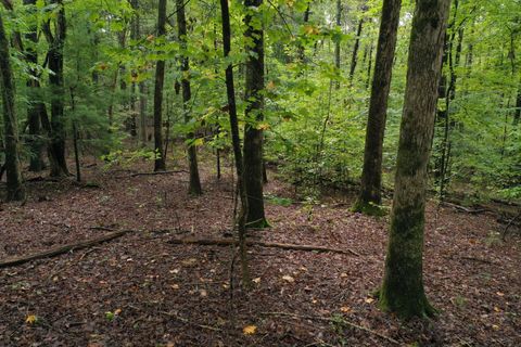 Tiny photo for 0 Fawnwood, Spring City, TN 37381 (MLS # 1528640)