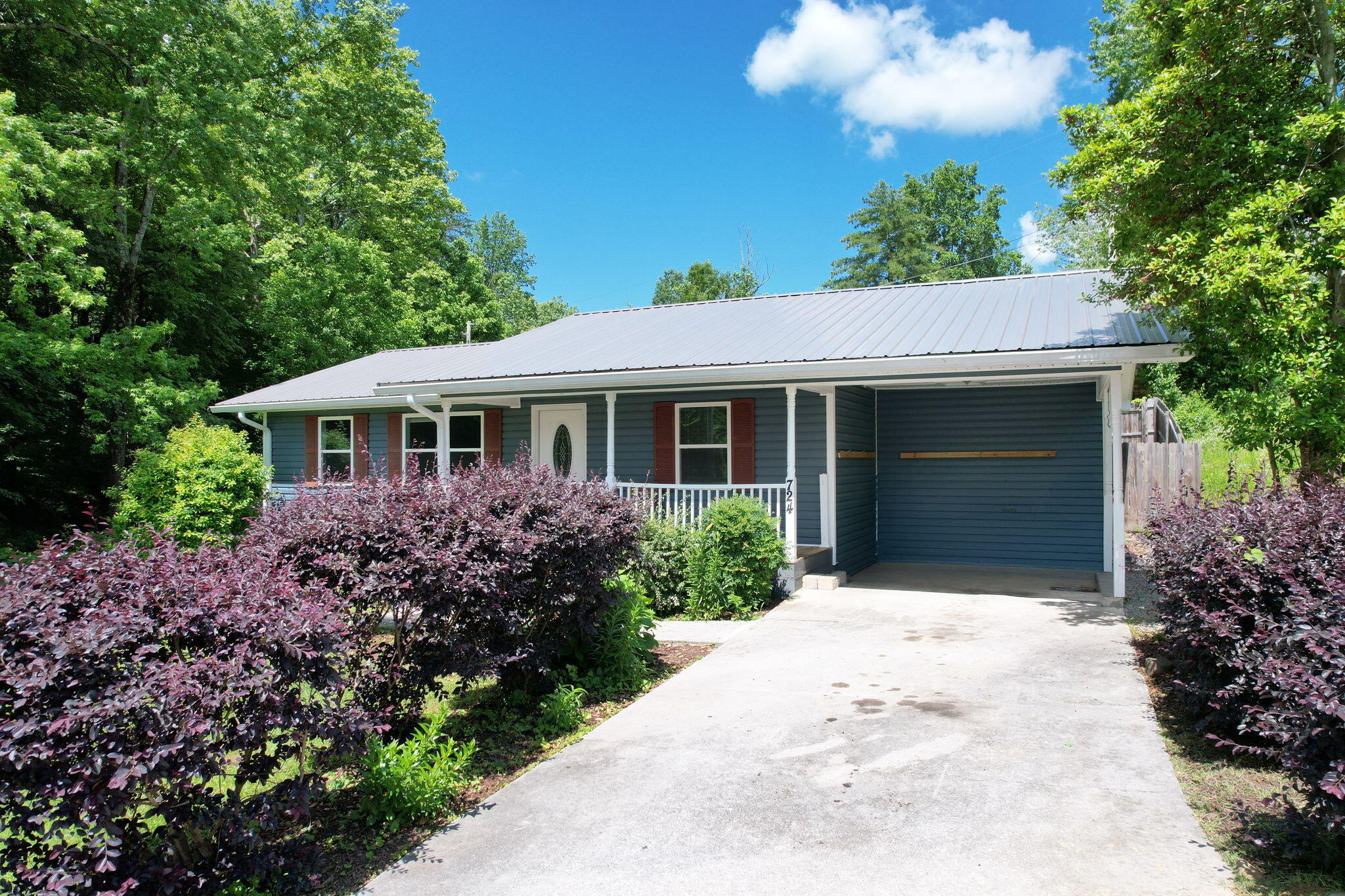 724 Sequoya Lane, Etowah, Tennessee image 1
