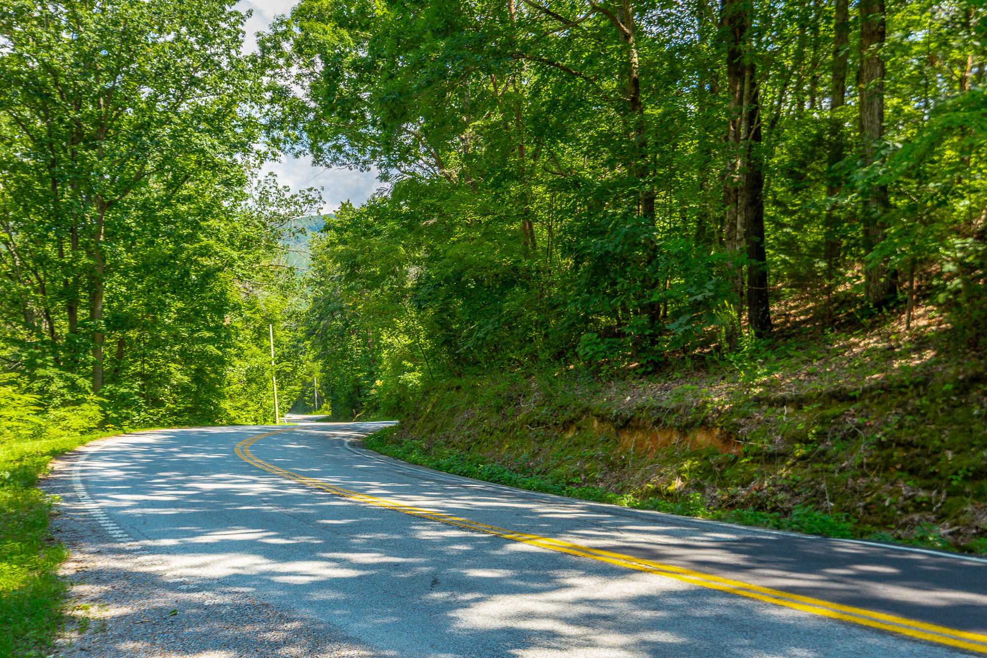 Highway 156, Guild, Tennessee image 35