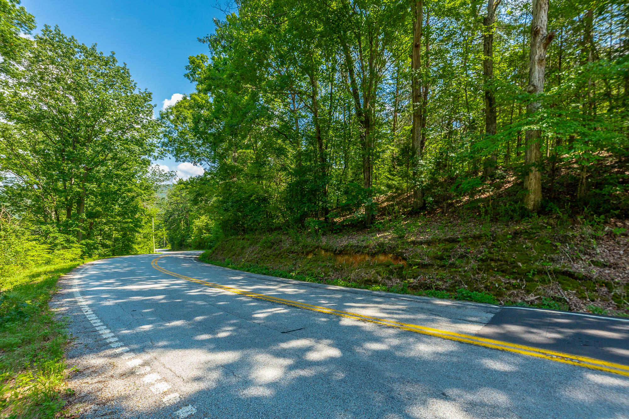 Highway 156, Guild, Tennessee image 50