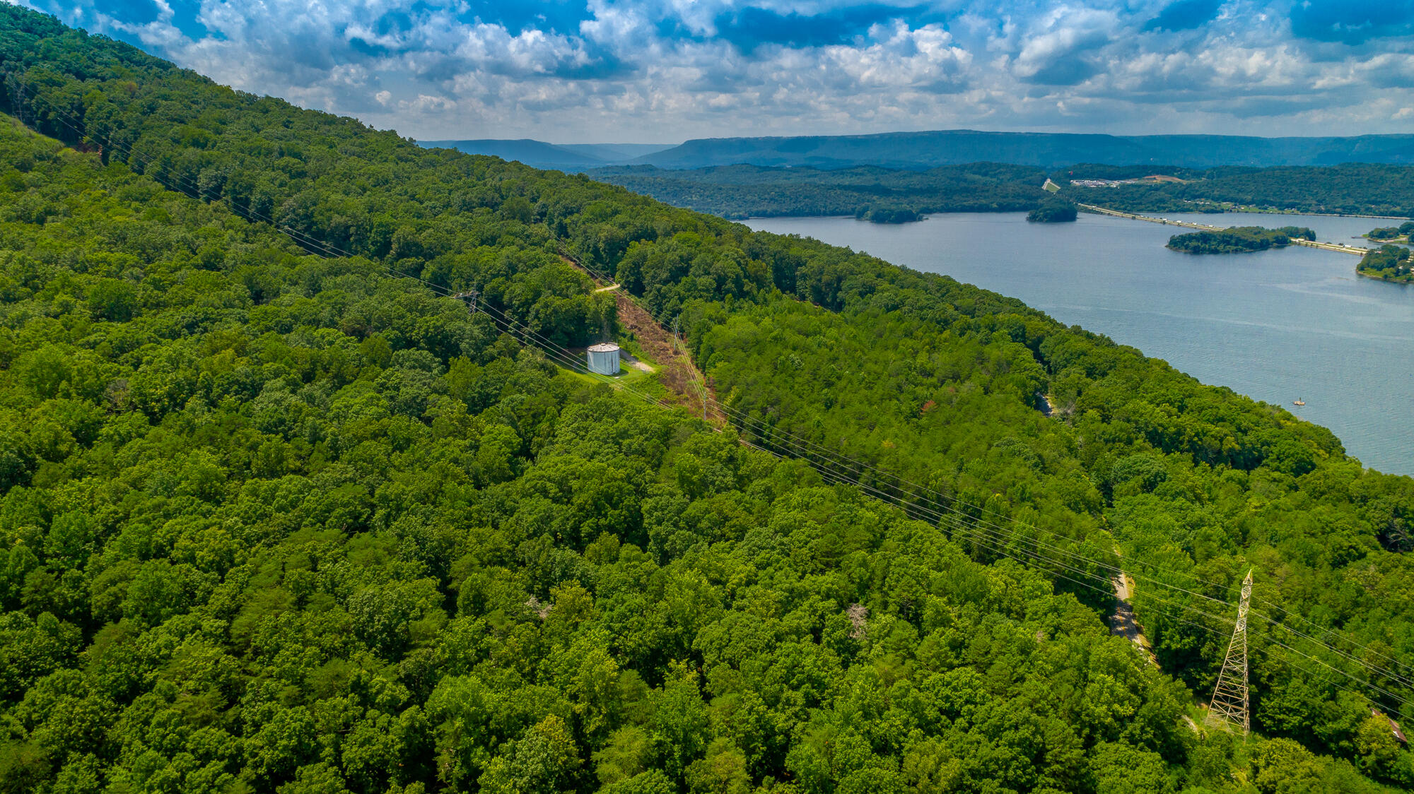 Highway 156, Guild, Tennessee image 8