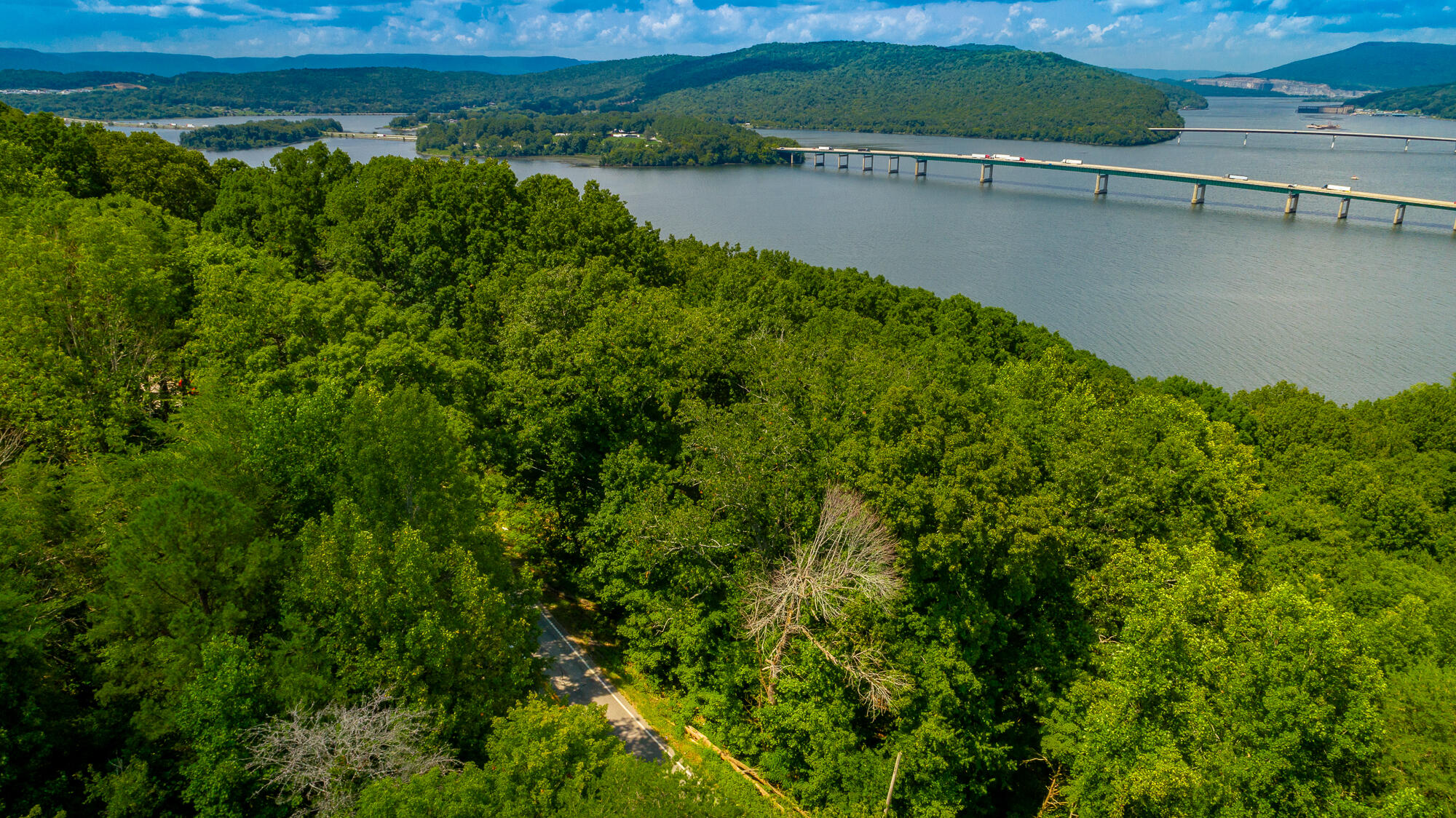 Highway 156, Guild, Tennessee image 33
