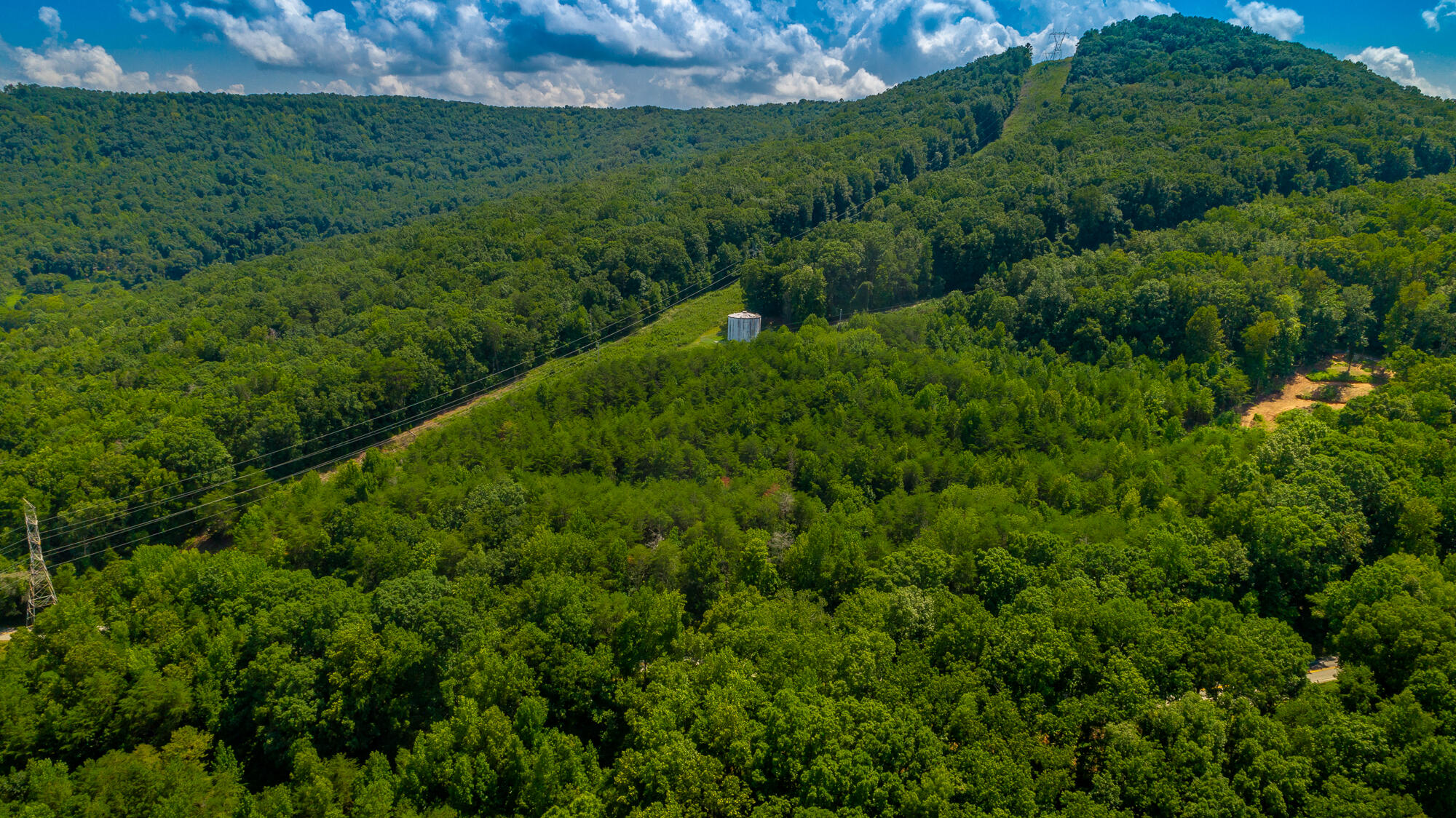 Highway 156, Guild, Tennessee image 40