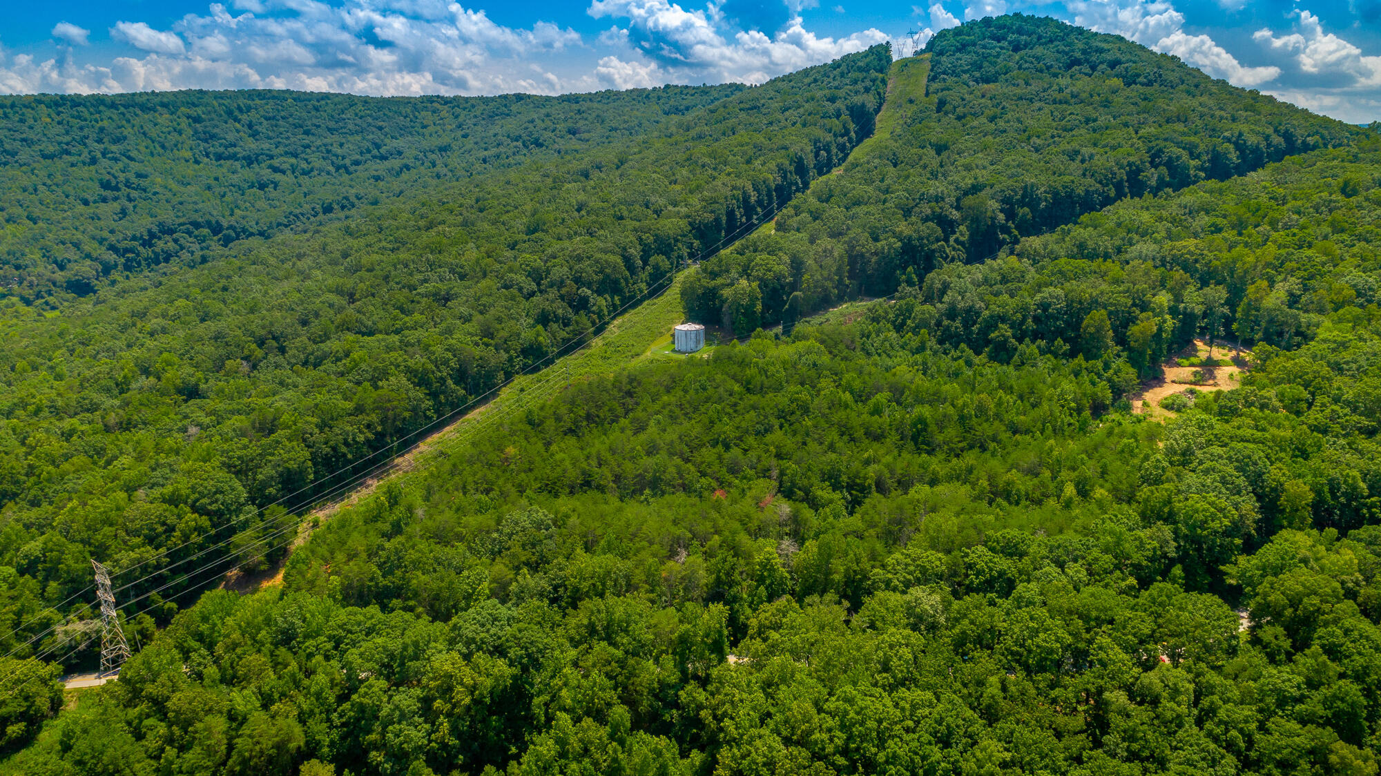Highway 156, Guild, Tennessee image 6