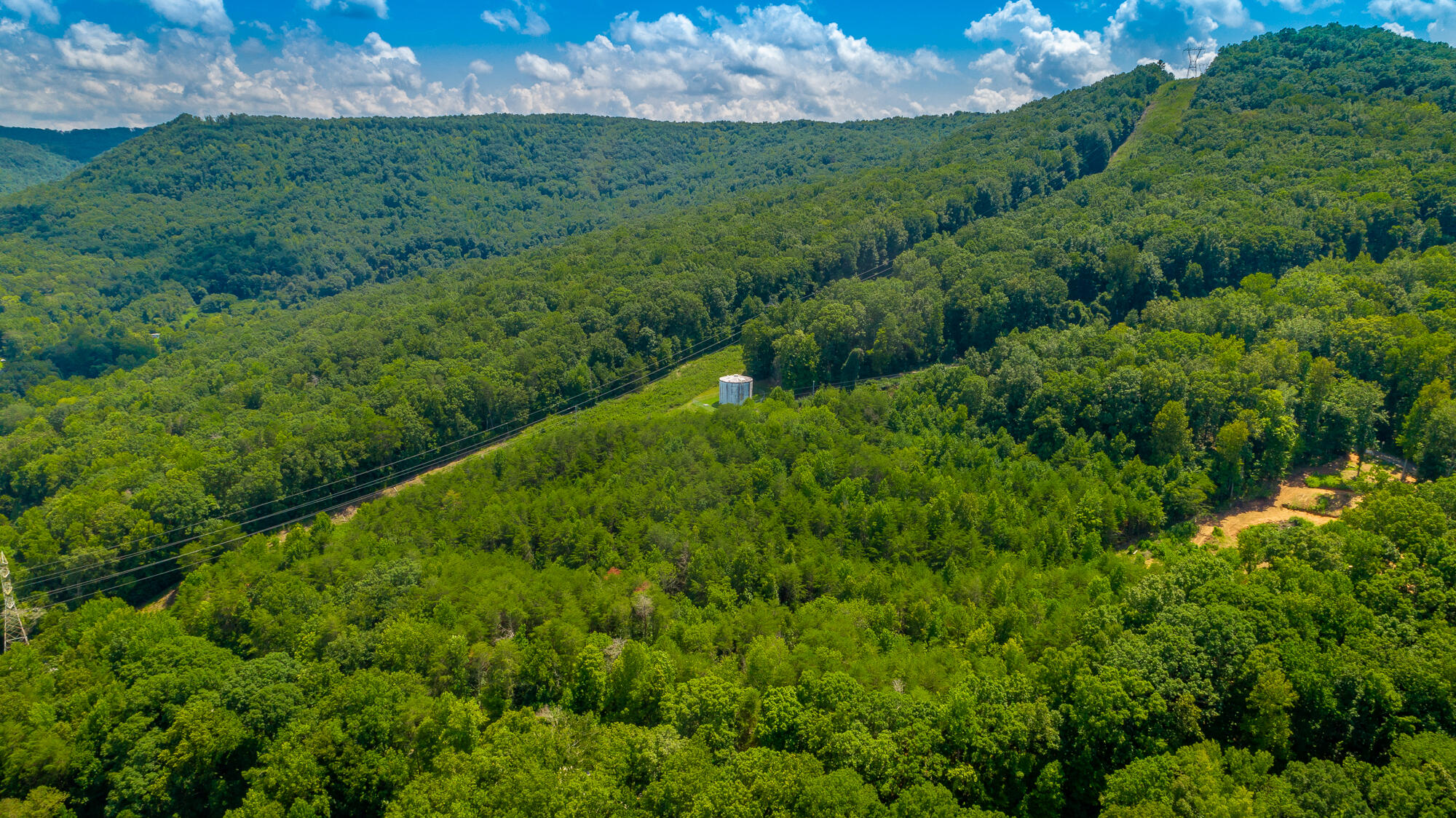 Highway 156, Guild, Tennessee image 5