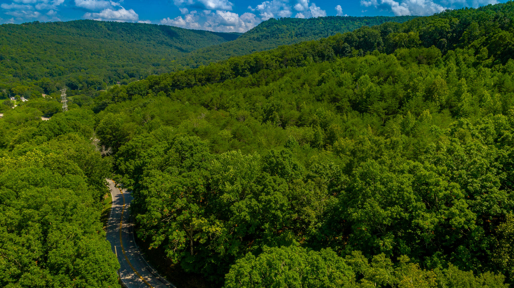 Highway 156, Guild, Tennessee image 39