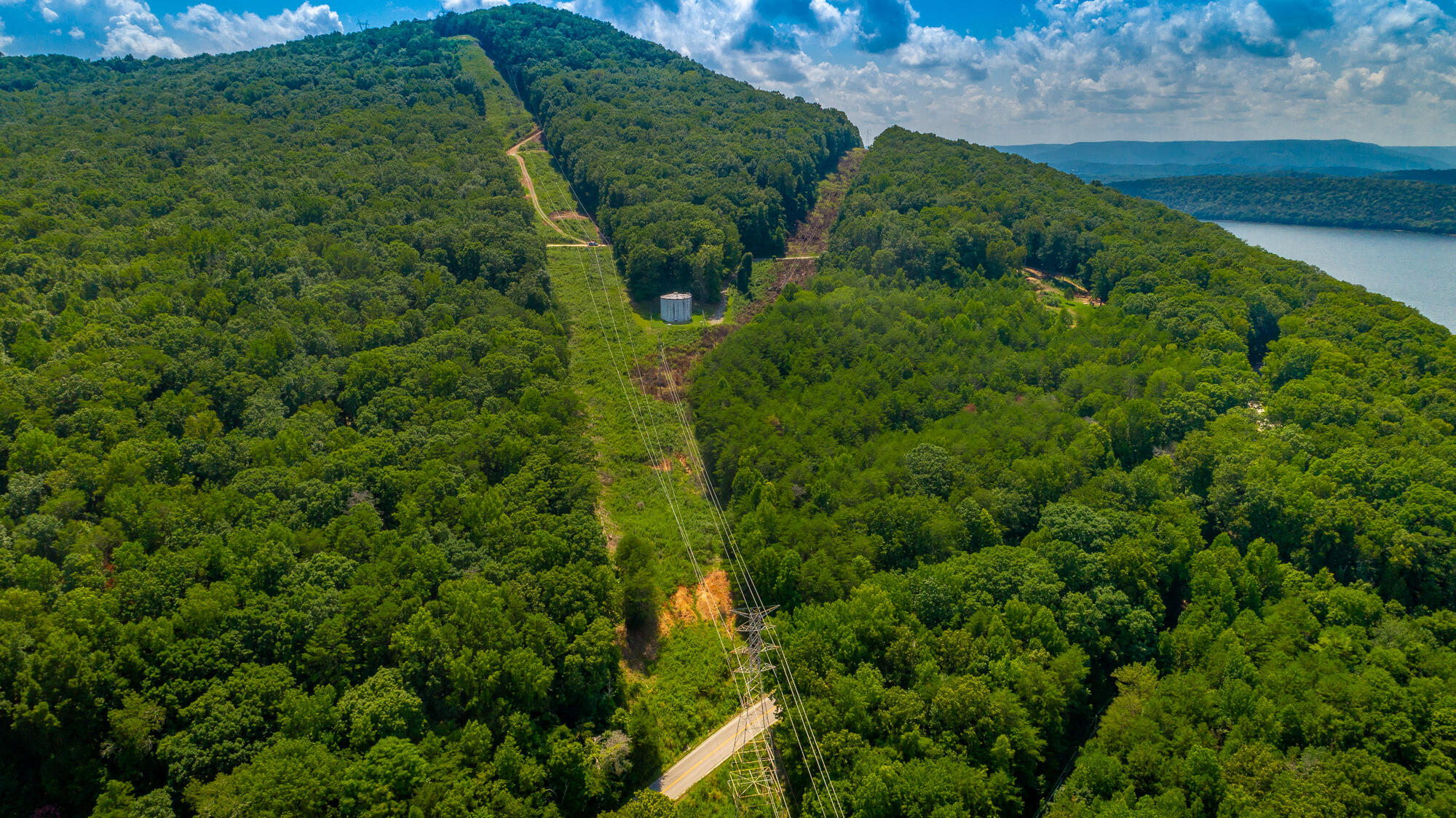 Highway 156, Guild, Tennessee image 42