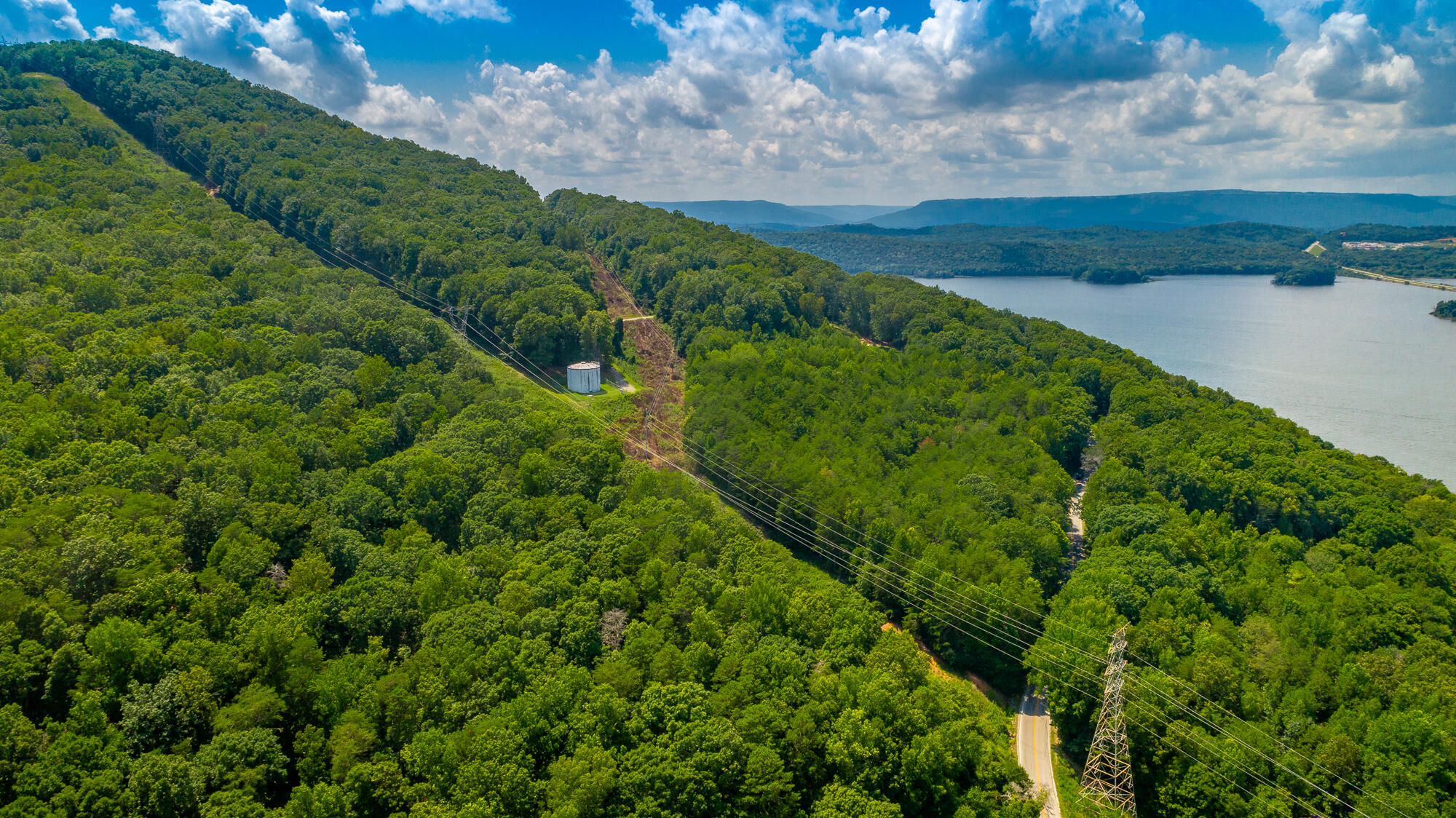 Highway 156, Guild, Tennessee image 43