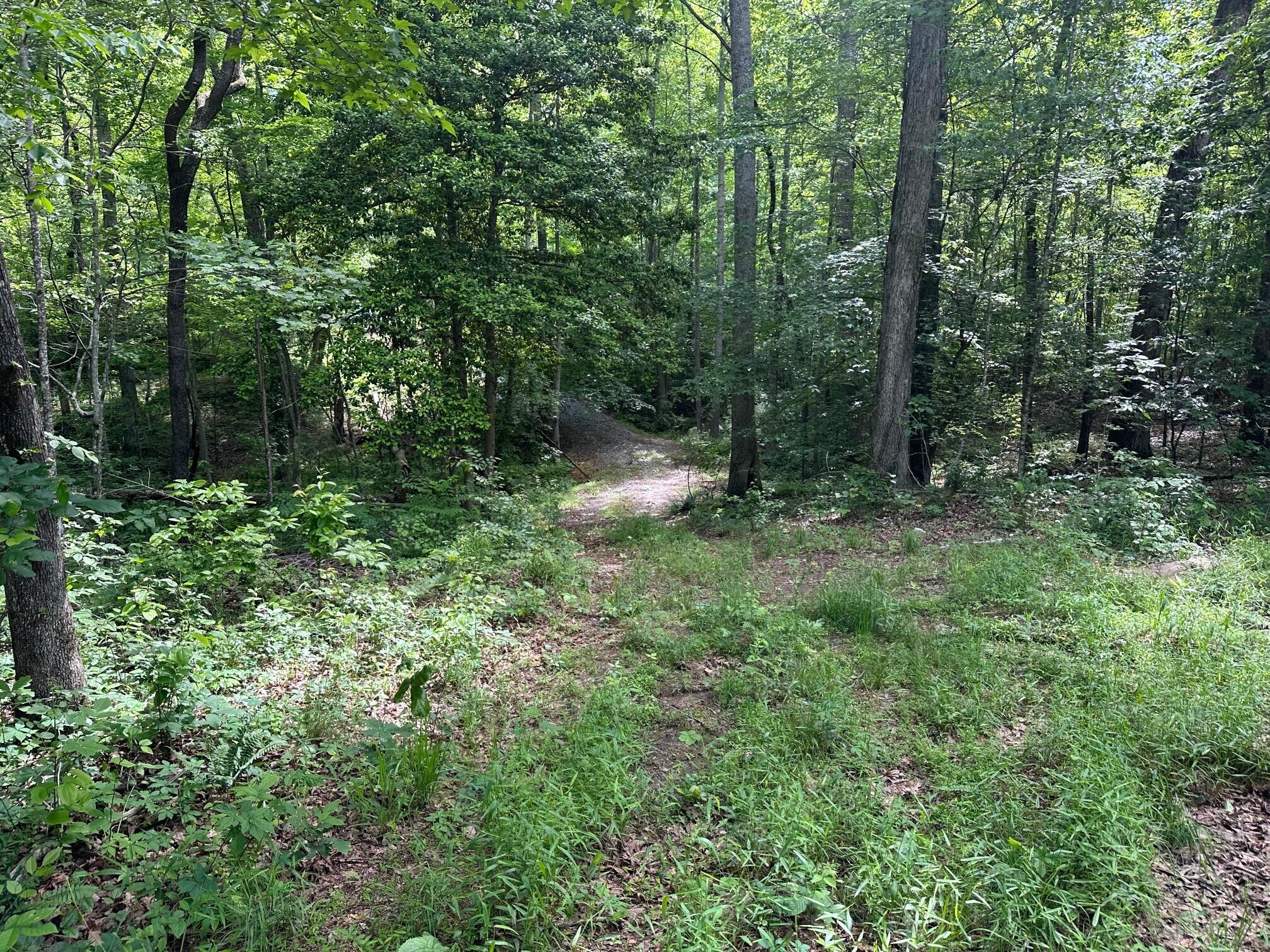 5201 Highway 150, Sequatchie, Tennessee image 17