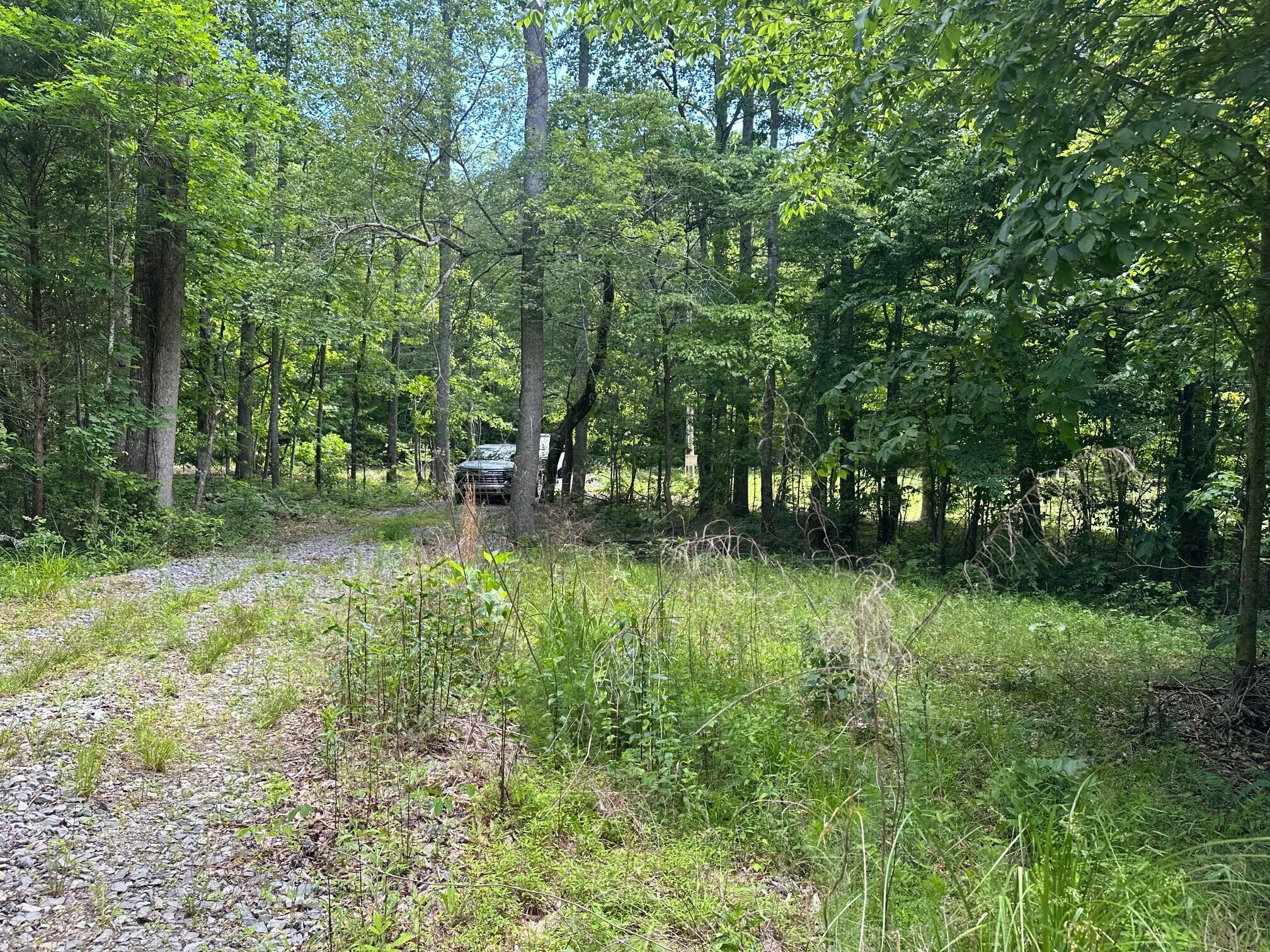 5201 Highway 150, Sequatchie, Tennessee image 16