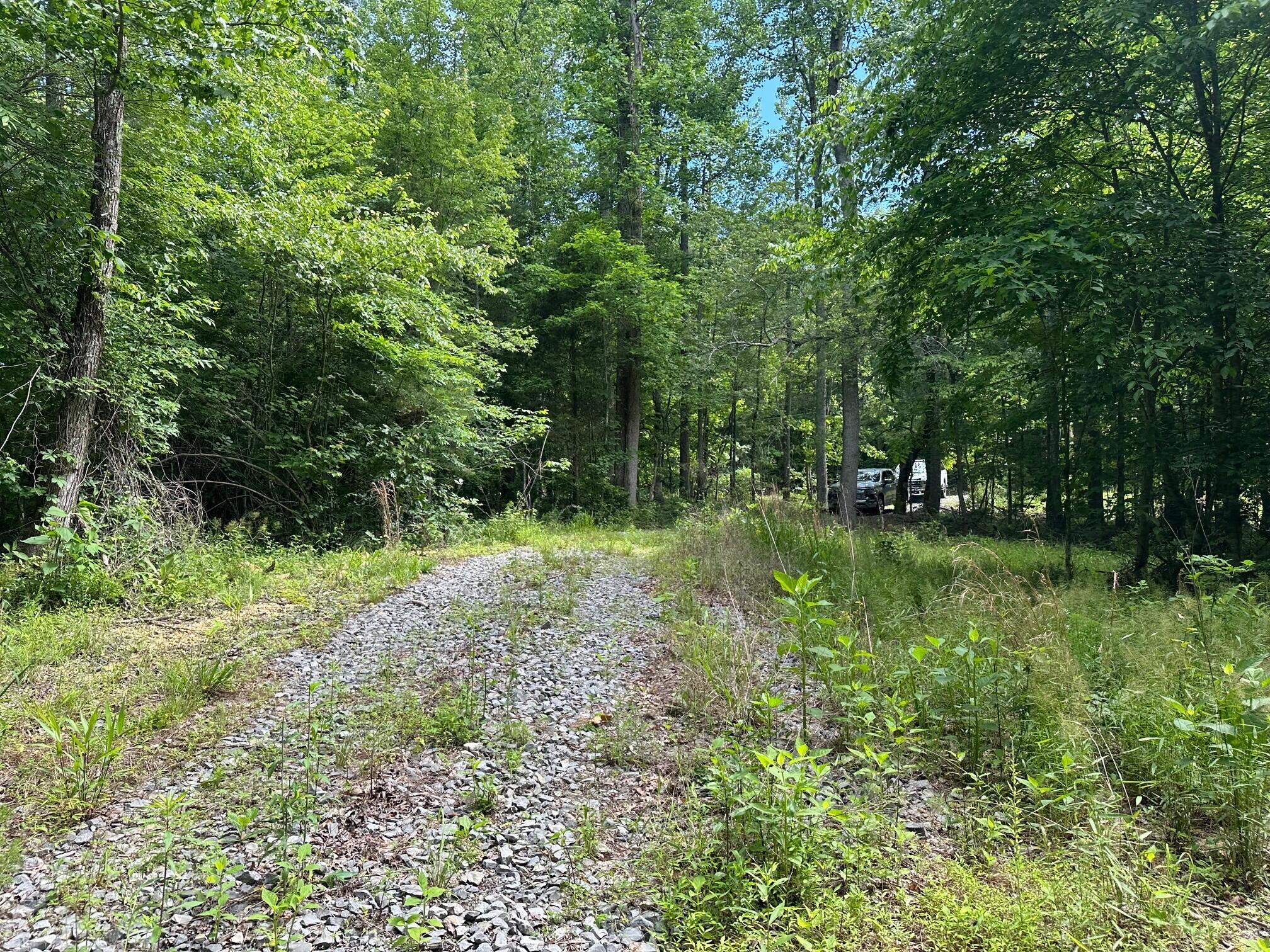 5201 Highway 150, Sequatchie, Tennessee image 9