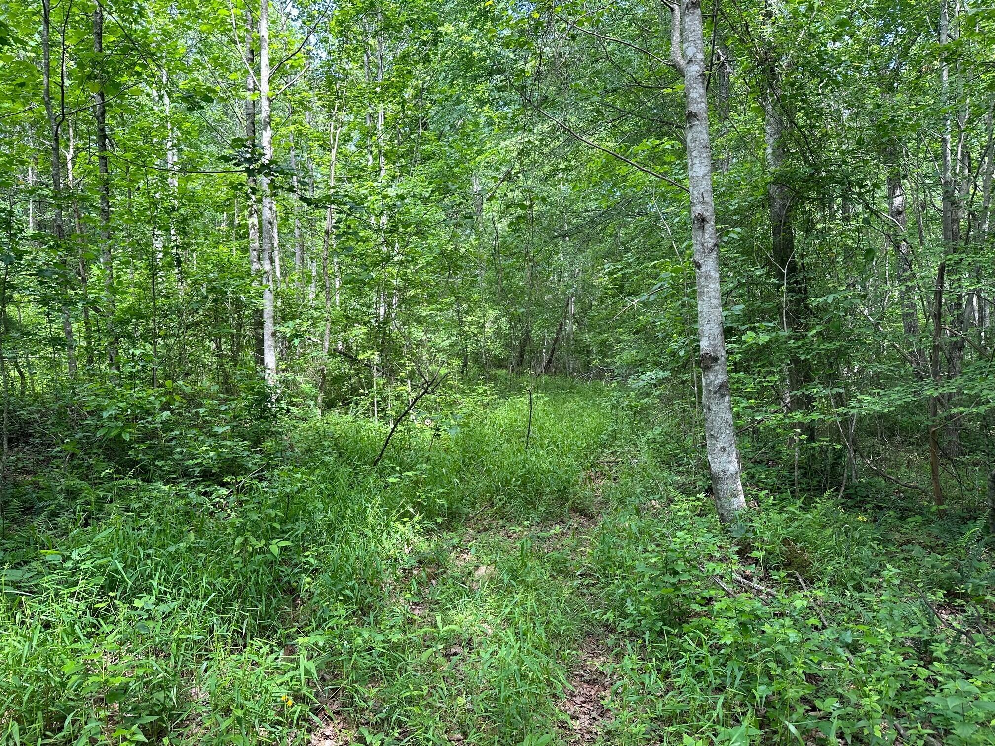 5201 Highway 150, Sequatchie, Tennessee image 2