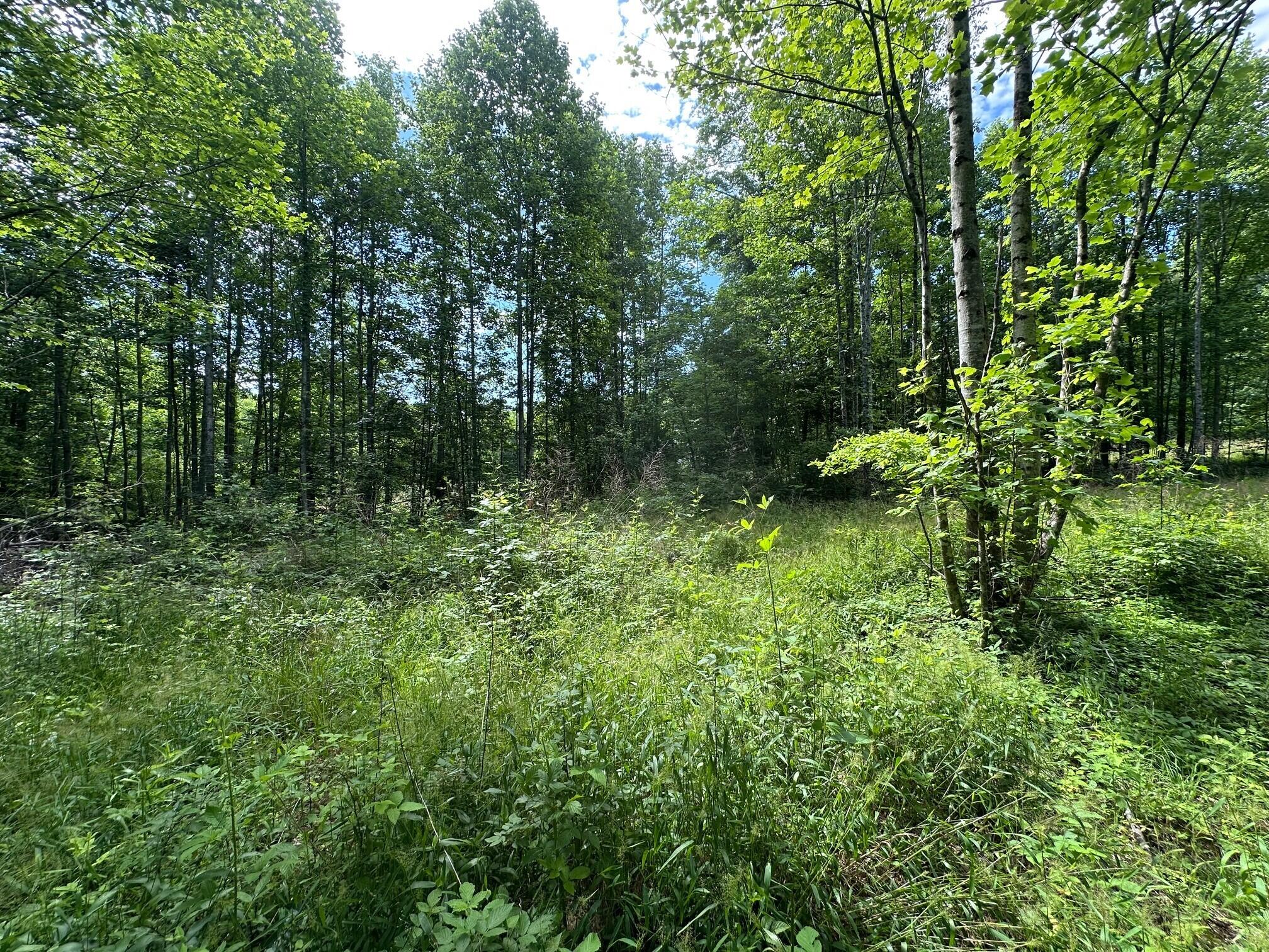 5201 Highway 150, Sequatchie, Tennessee image 4