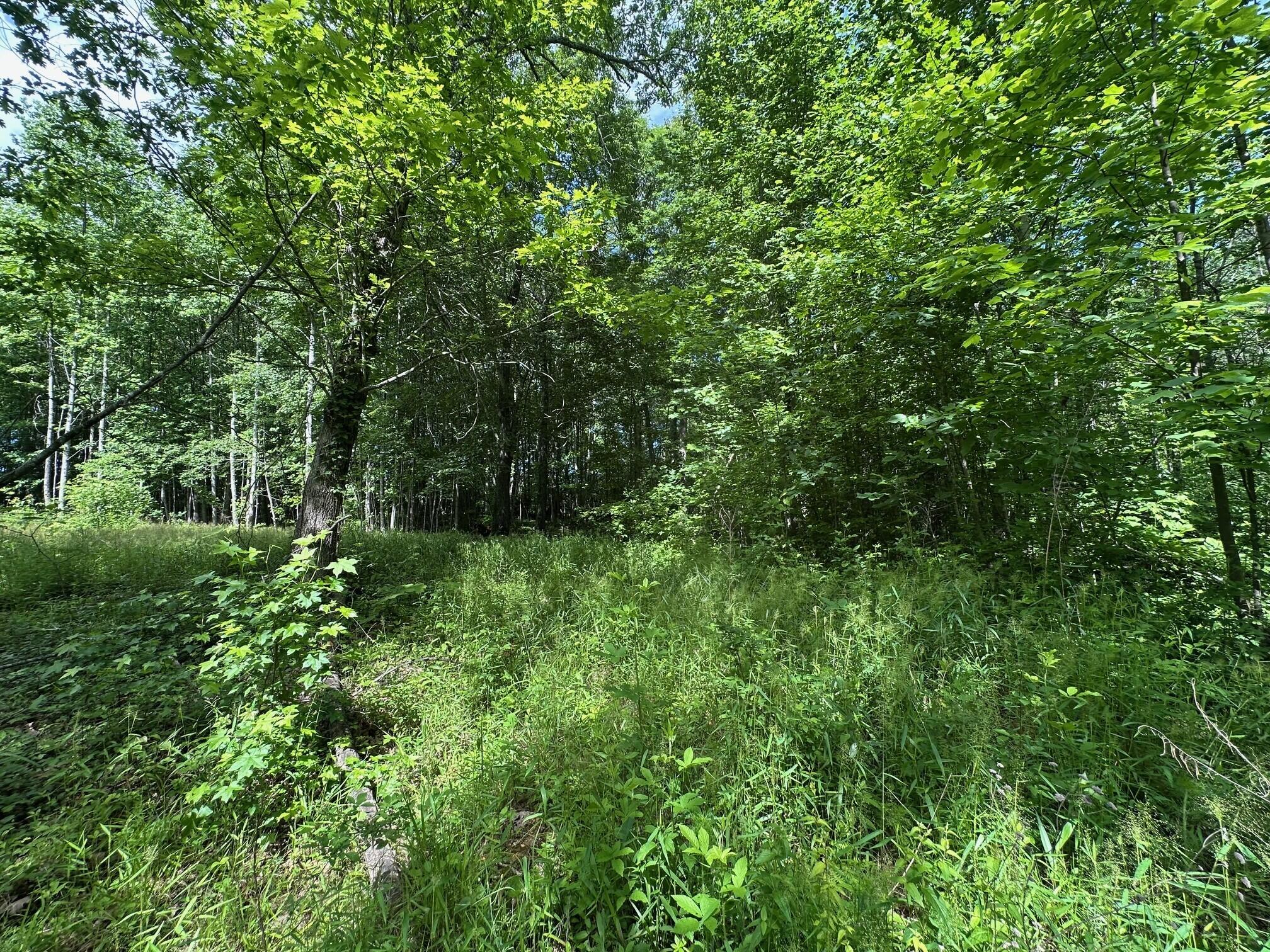 5201 Highway 150, Sequatchie, Tennessee image 14
