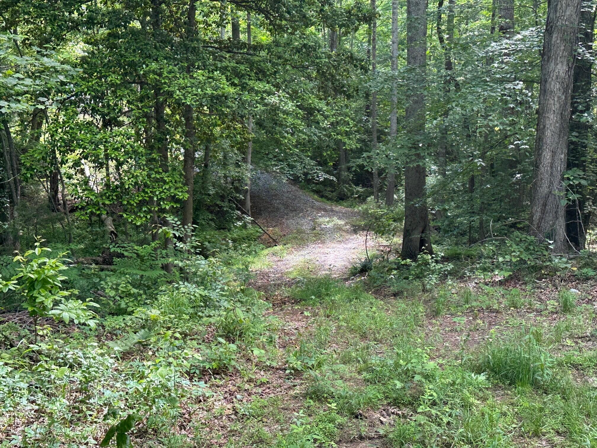 5201 Highway 150, Sequatchie, Tennessee image 18