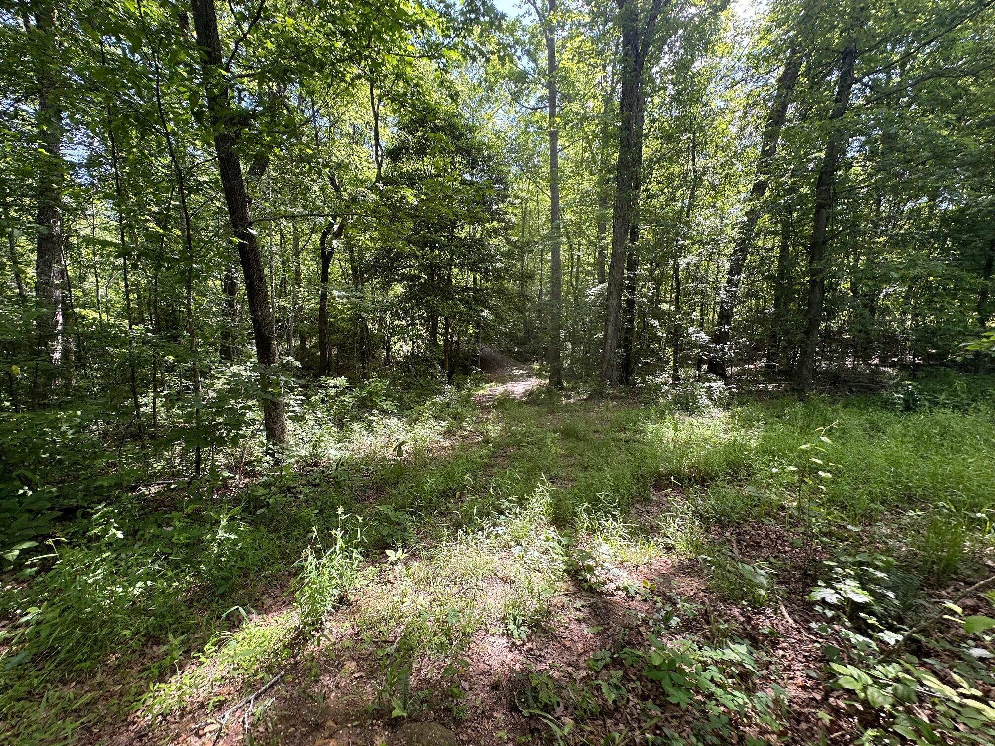 5201 Highway 150, Sequatchie, Tennessee image 15