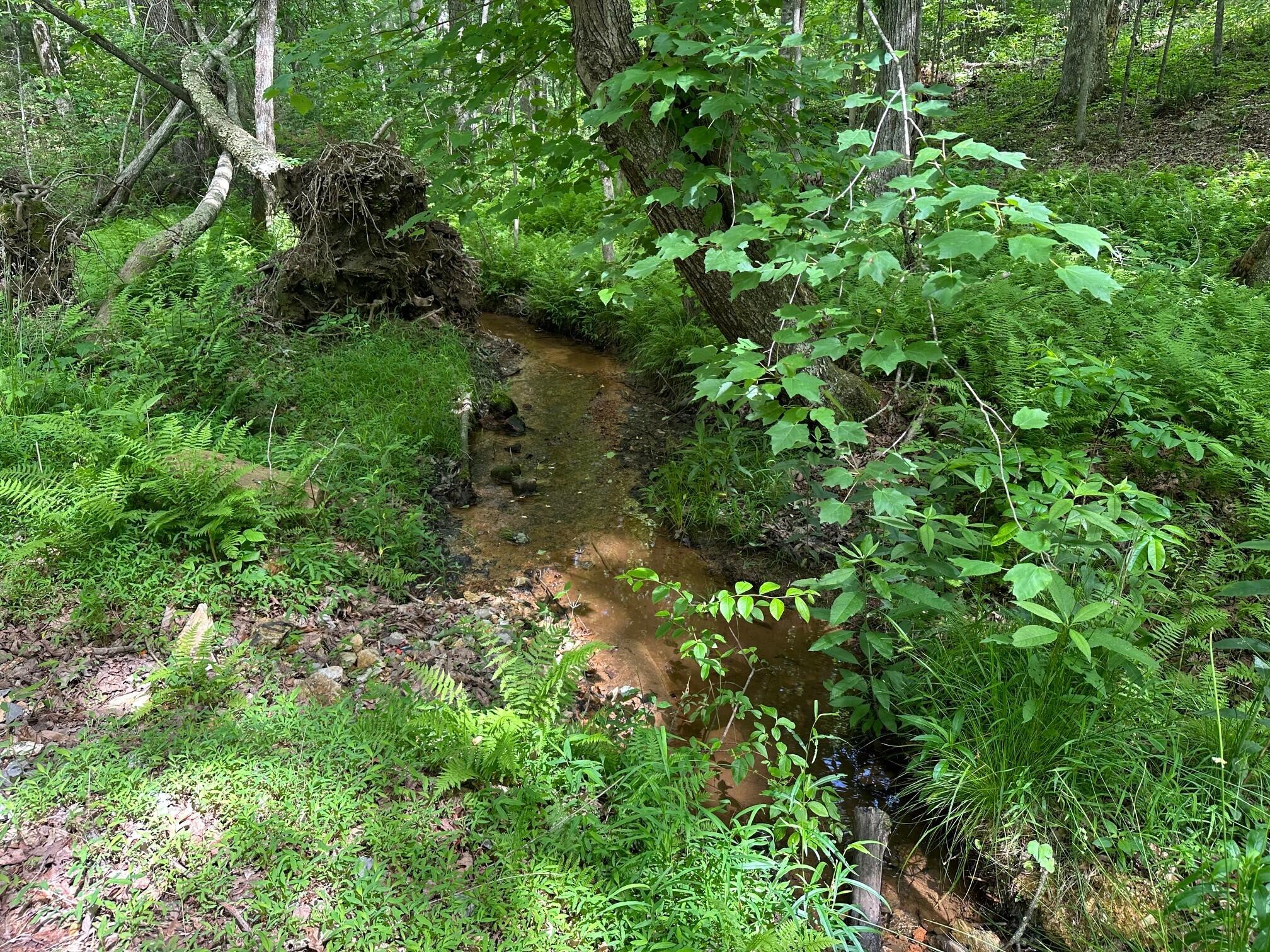 5201 Highway 150, Sequatchie, Tennessee image 12