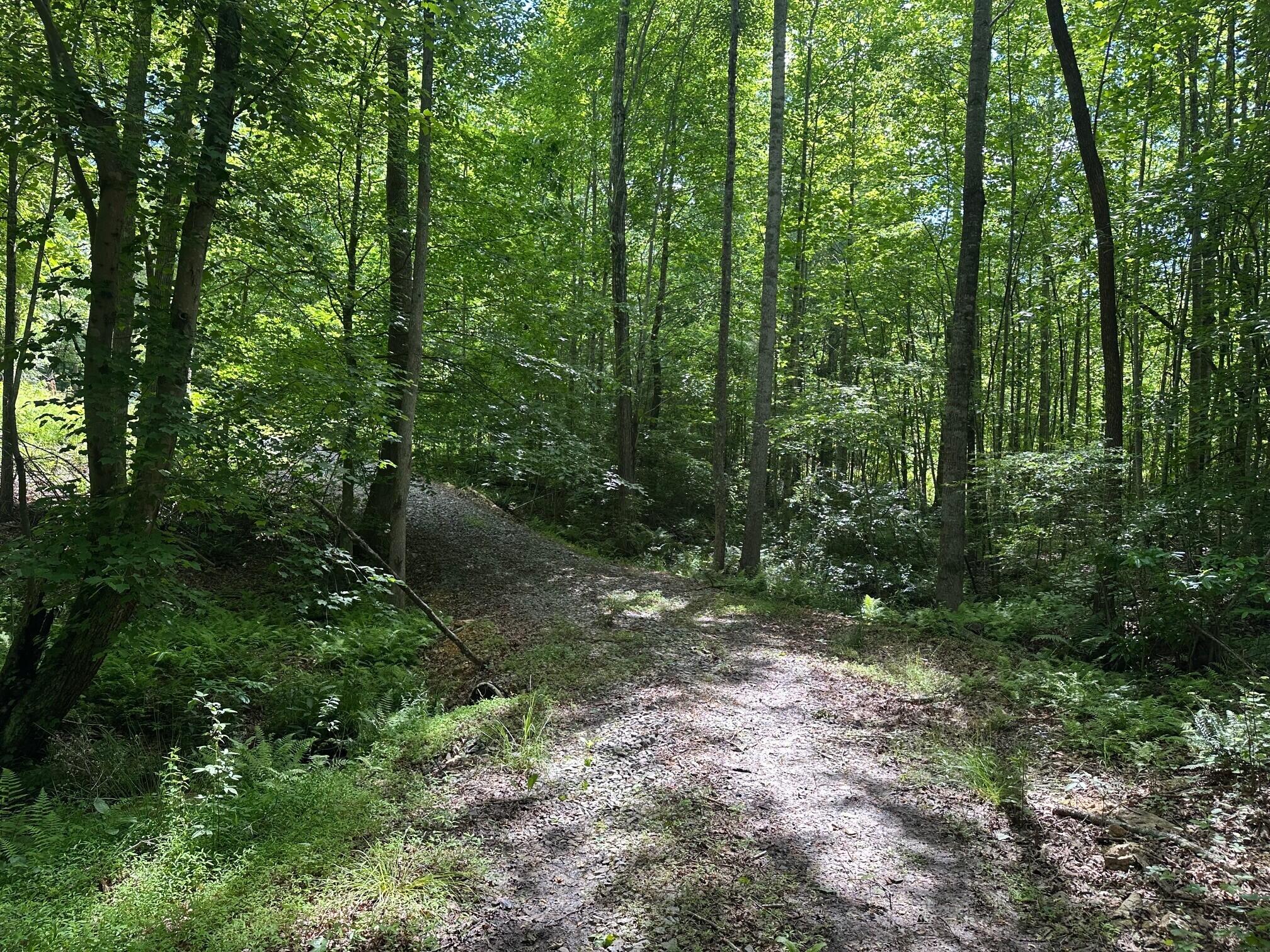 5201 Highway 150, Sequatchie, Tennessee image 10