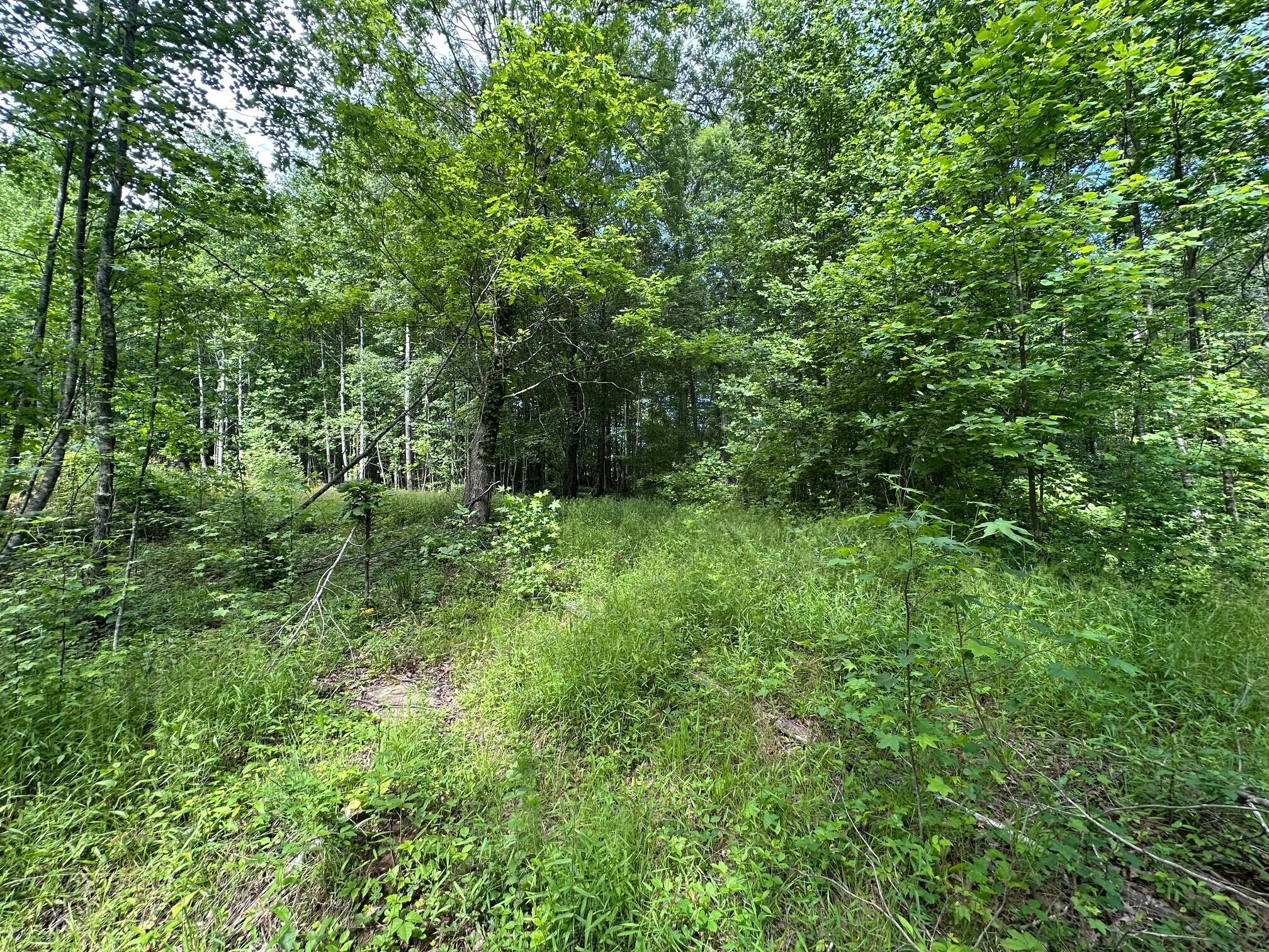 5201 Highway 150, Sequatchie, Tennessee image 13