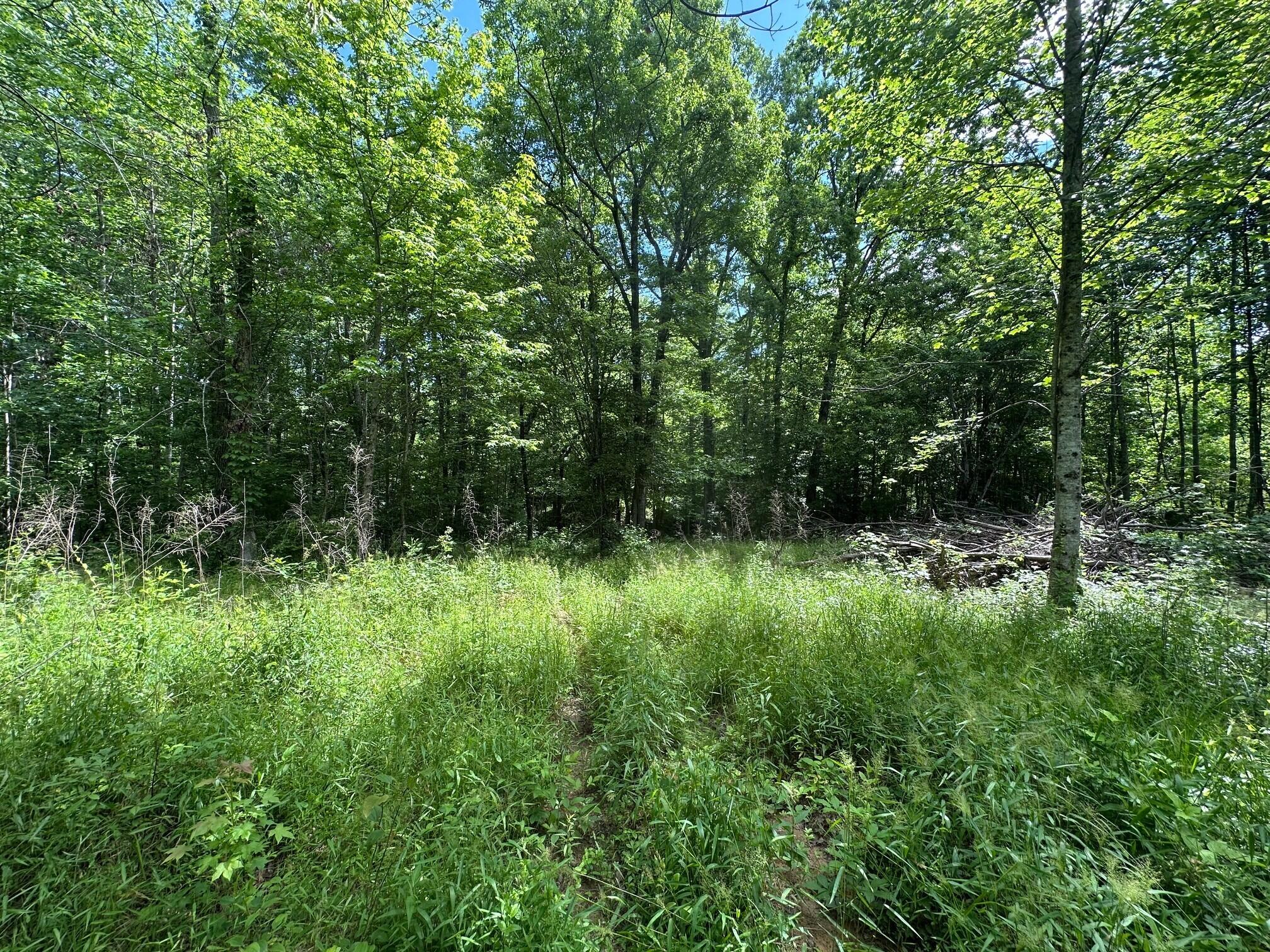 5201 Highway 150, Sequatchie, Tennessee image 1