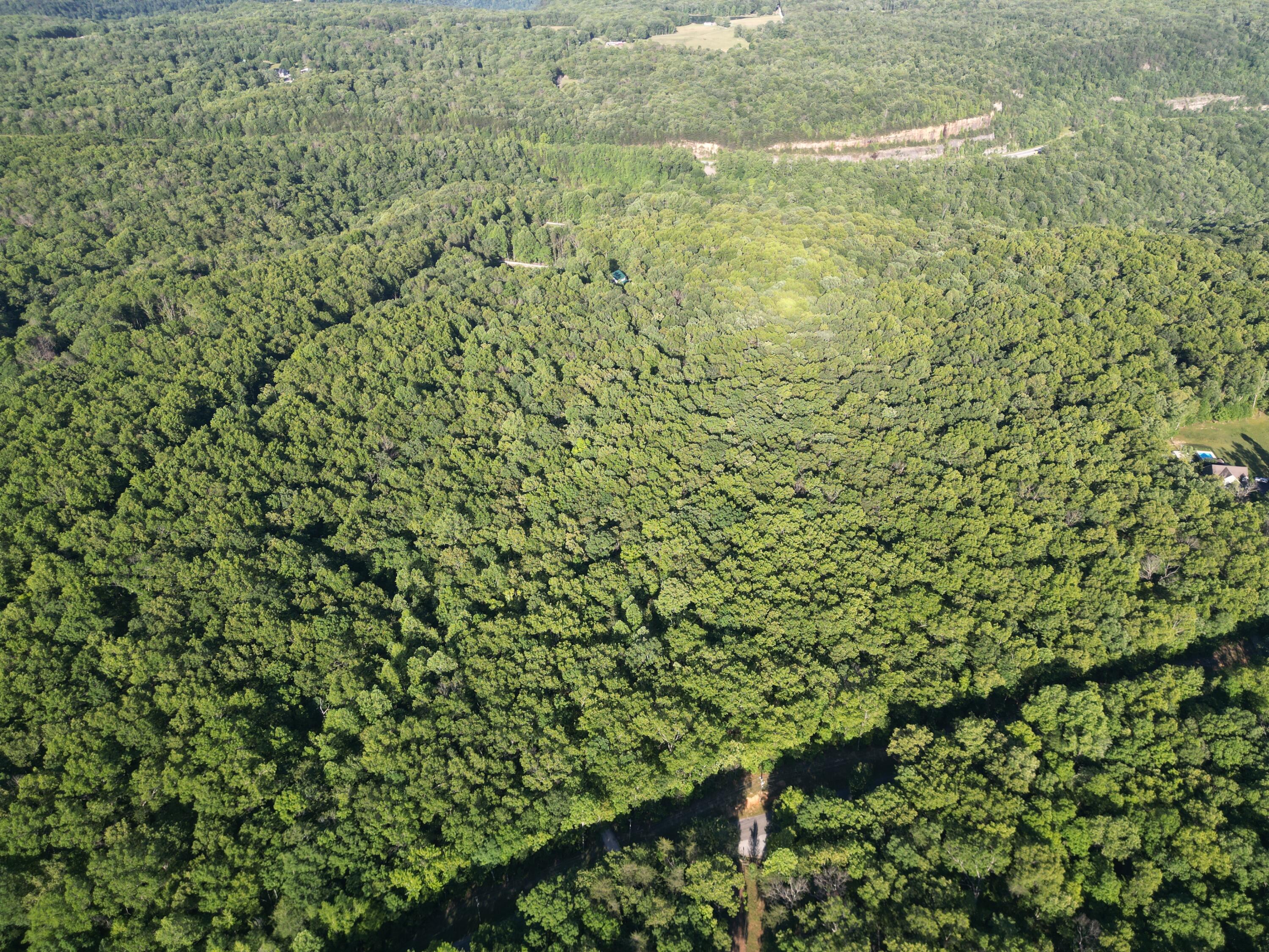 Laurel Lake Drive #LOT 2, Monteagle, Tennessee image 2