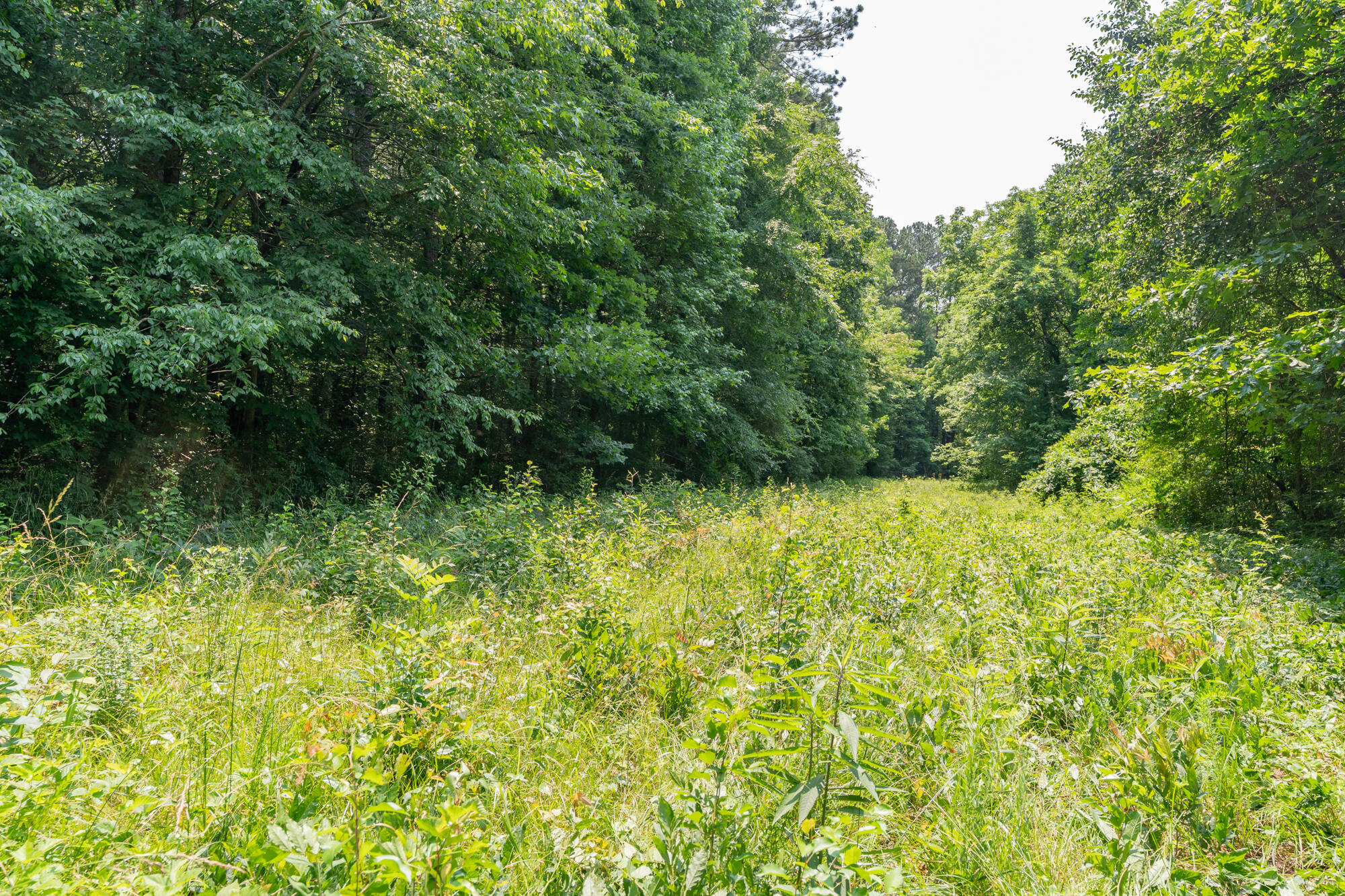 232 Bass Road, Chattanooga, Tennessee image 46