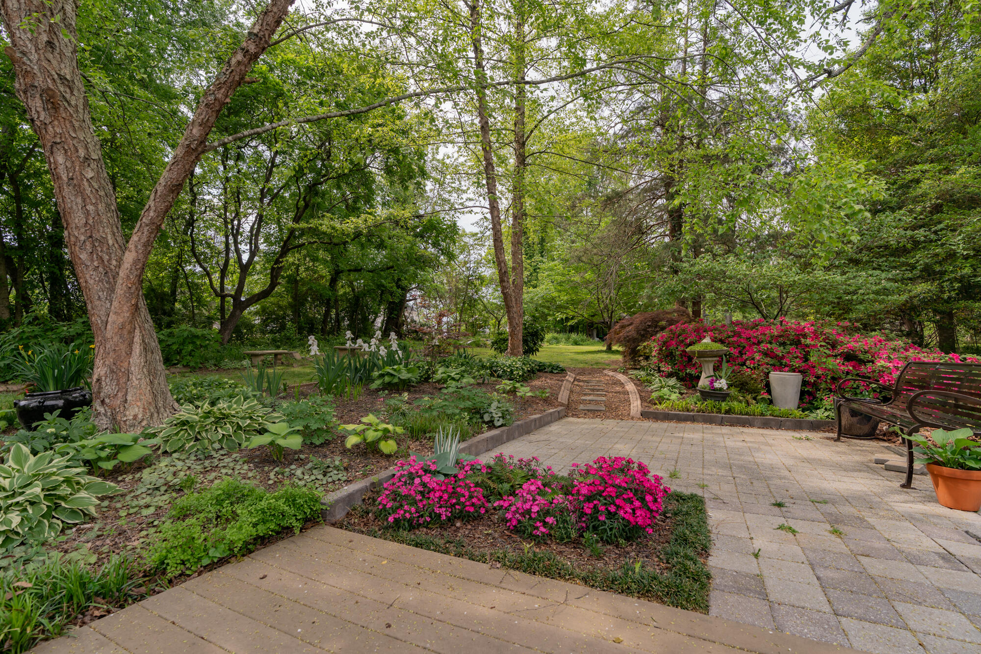 232 Bass Road, Chattanooga, Tennessee image 37