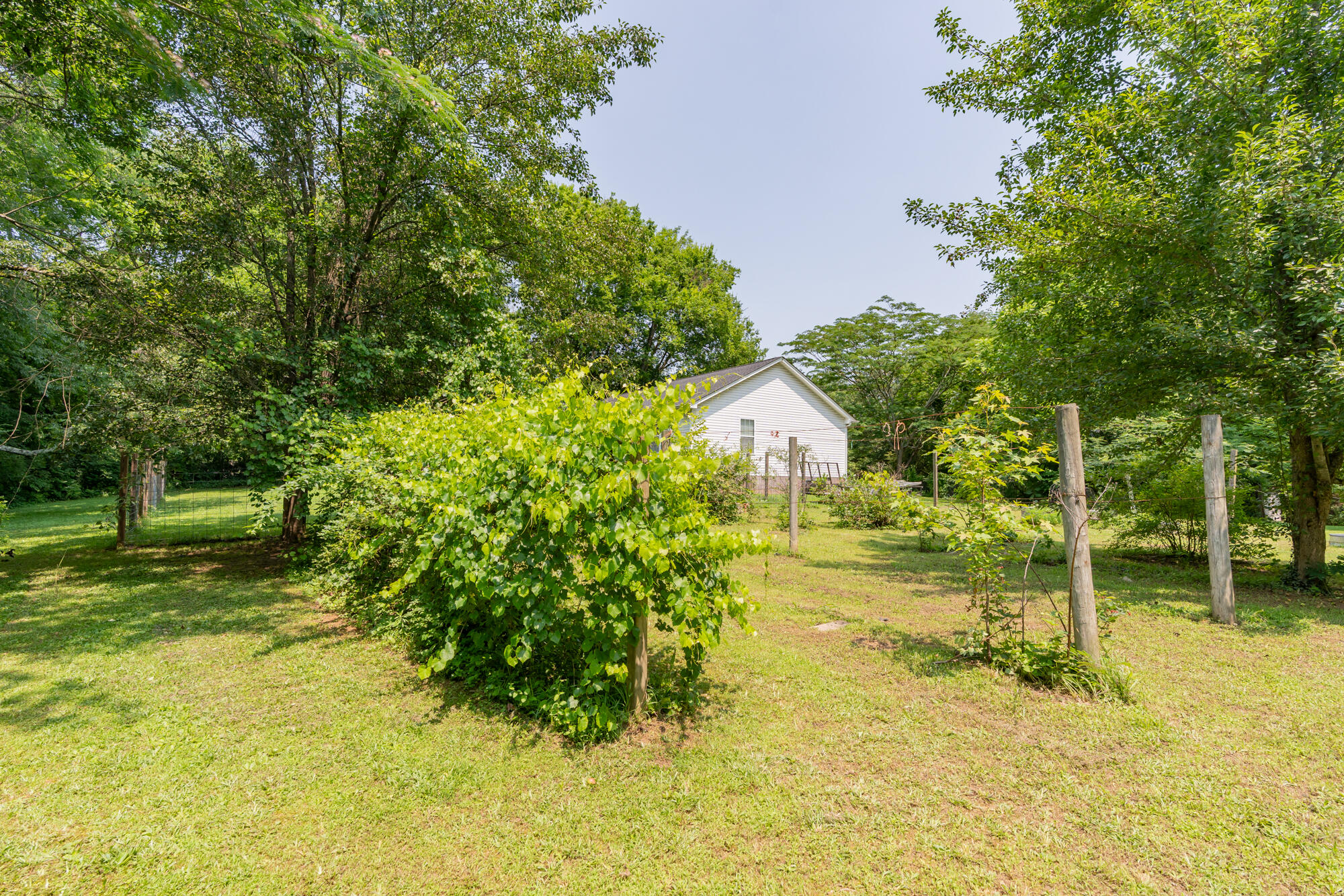 232 Bass Road, Chattanooga, Tennessee image 44