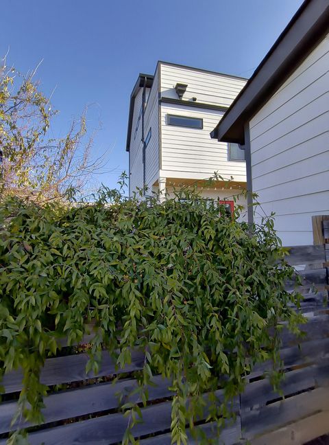 Tiny photo for 18 E 16th Street, Chattanooga, TN 37408 (MLS # 1528117)