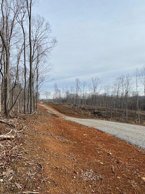 Tract 7 River Road #7, Decatur, Tennessee image 3