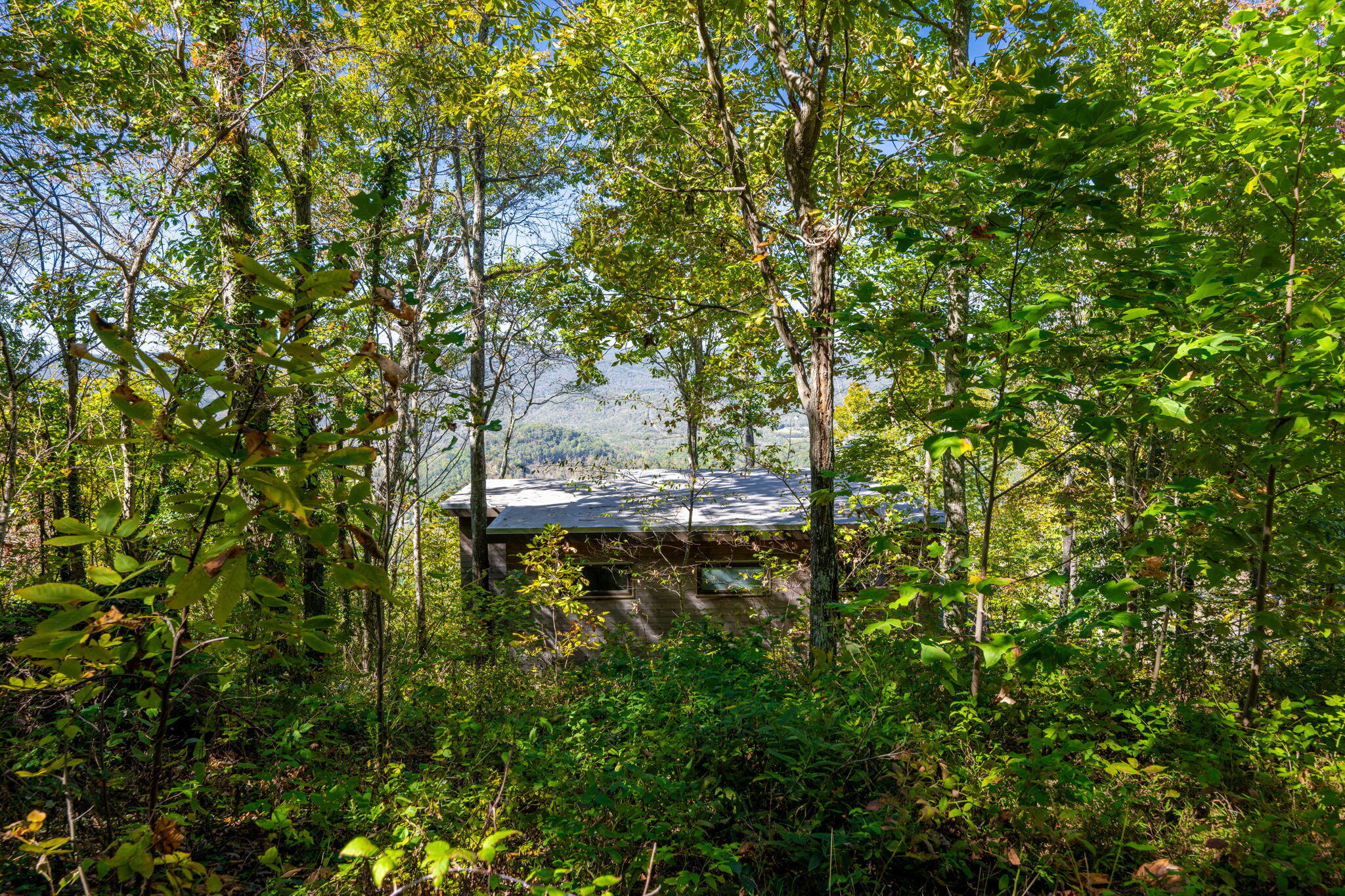 9193 Scenic Highway, Lookout Mountain, Georgia image 34