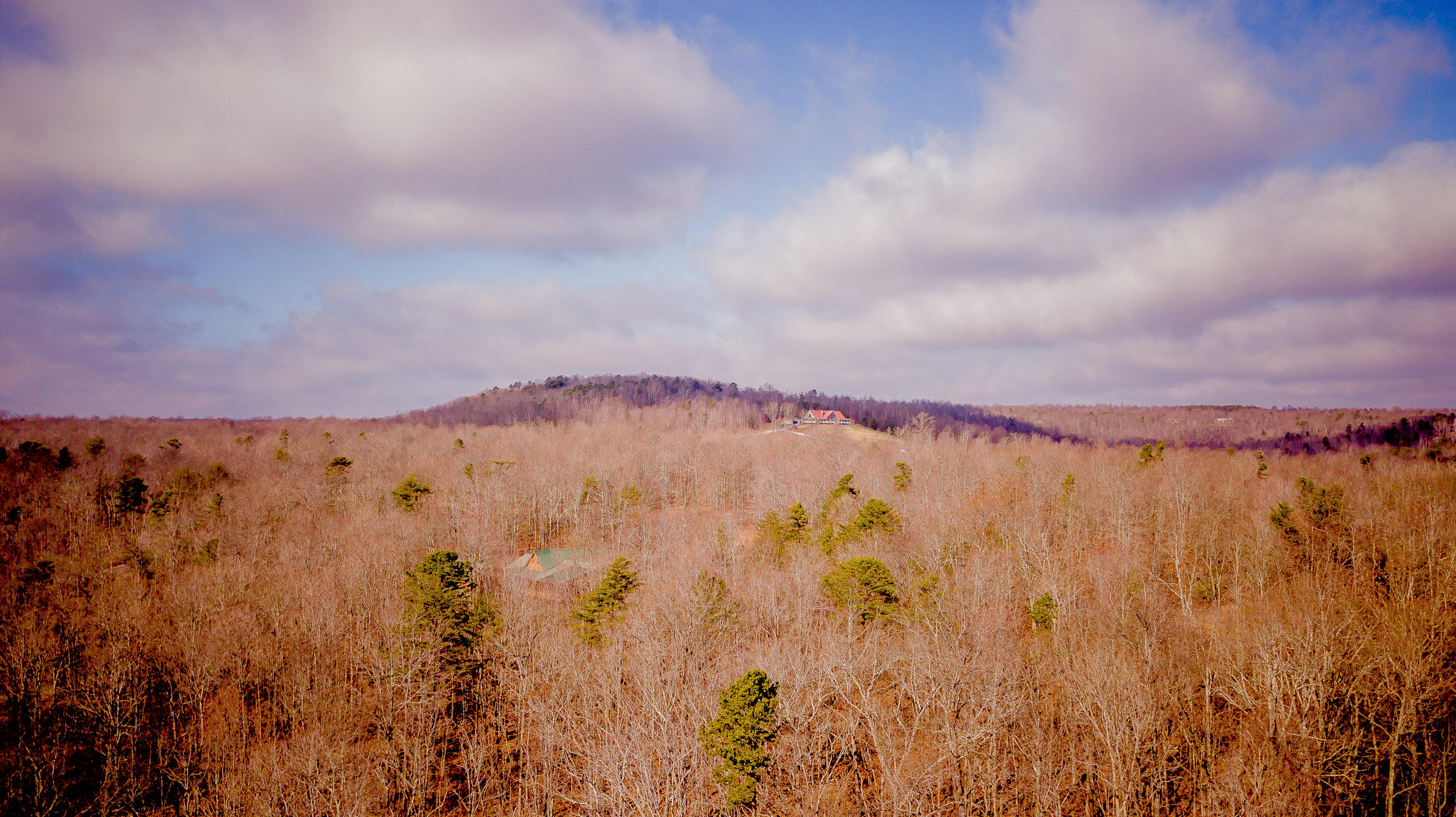 309 Tree House Trail, Dunlap, Tennessee image 3