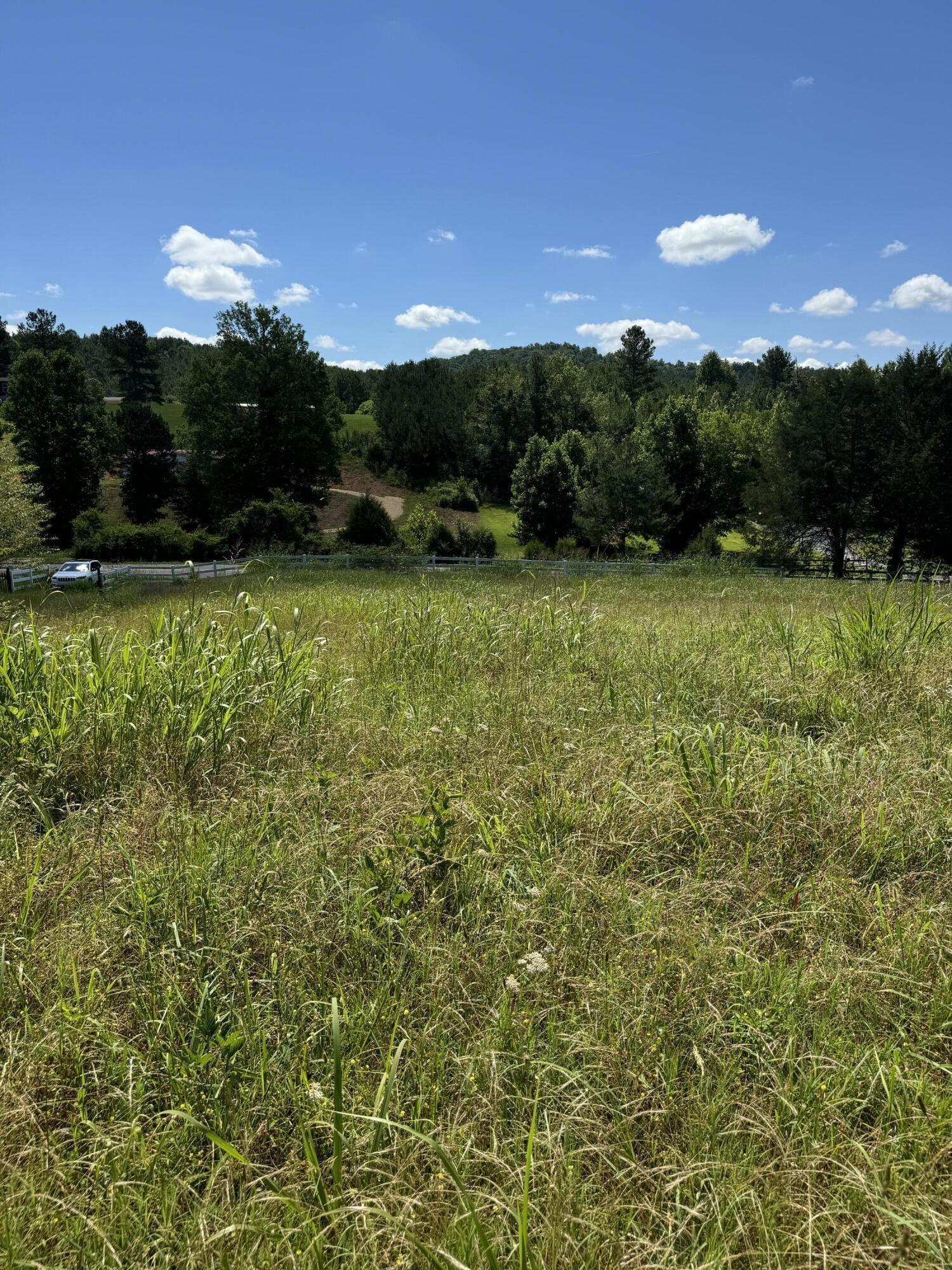 00 Cottonport Rd Road #LOT 08, Decatur, Tennessee image 4