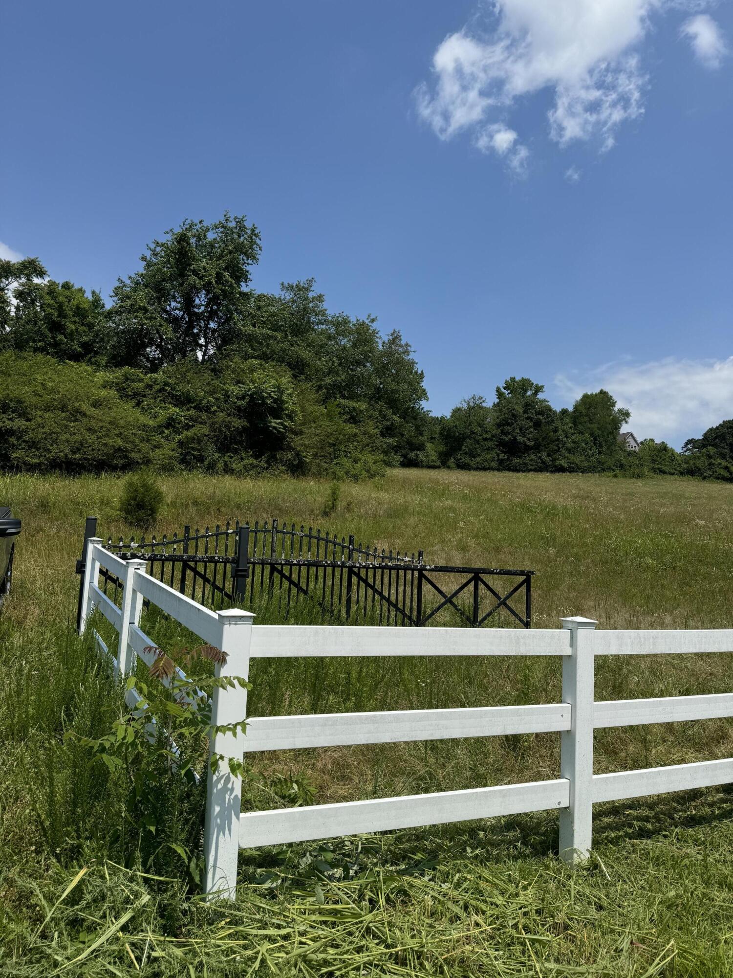 00 Cottonport Rd Road #LOT 08, Decatur, Tennessee image 3