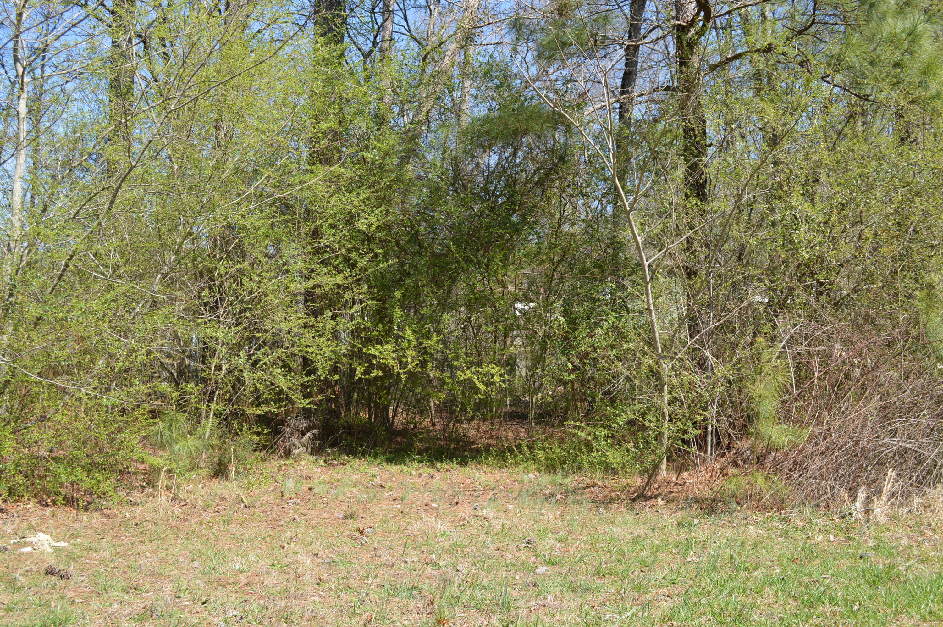 1865 Peach Orchard Hill Road NE