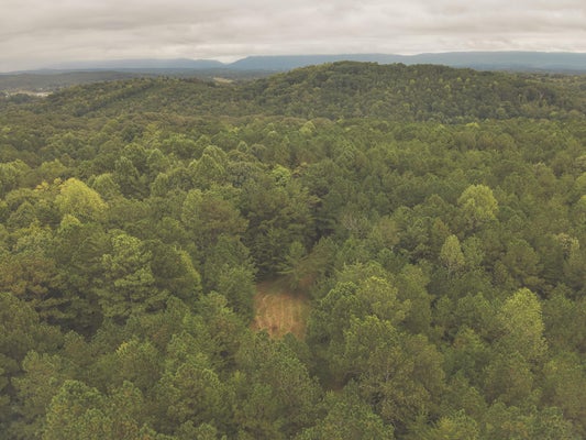 0 DEER RIDGE TRAIL, CHARLESTON, TN 37310 - Image 84727ea9f2b90e6e3f2c8f2f9eae65c8/1562783341