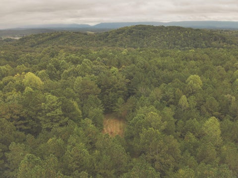 Vacant Land For Sale - Deer Ridge Trail<br/> Charleston, TN 37310